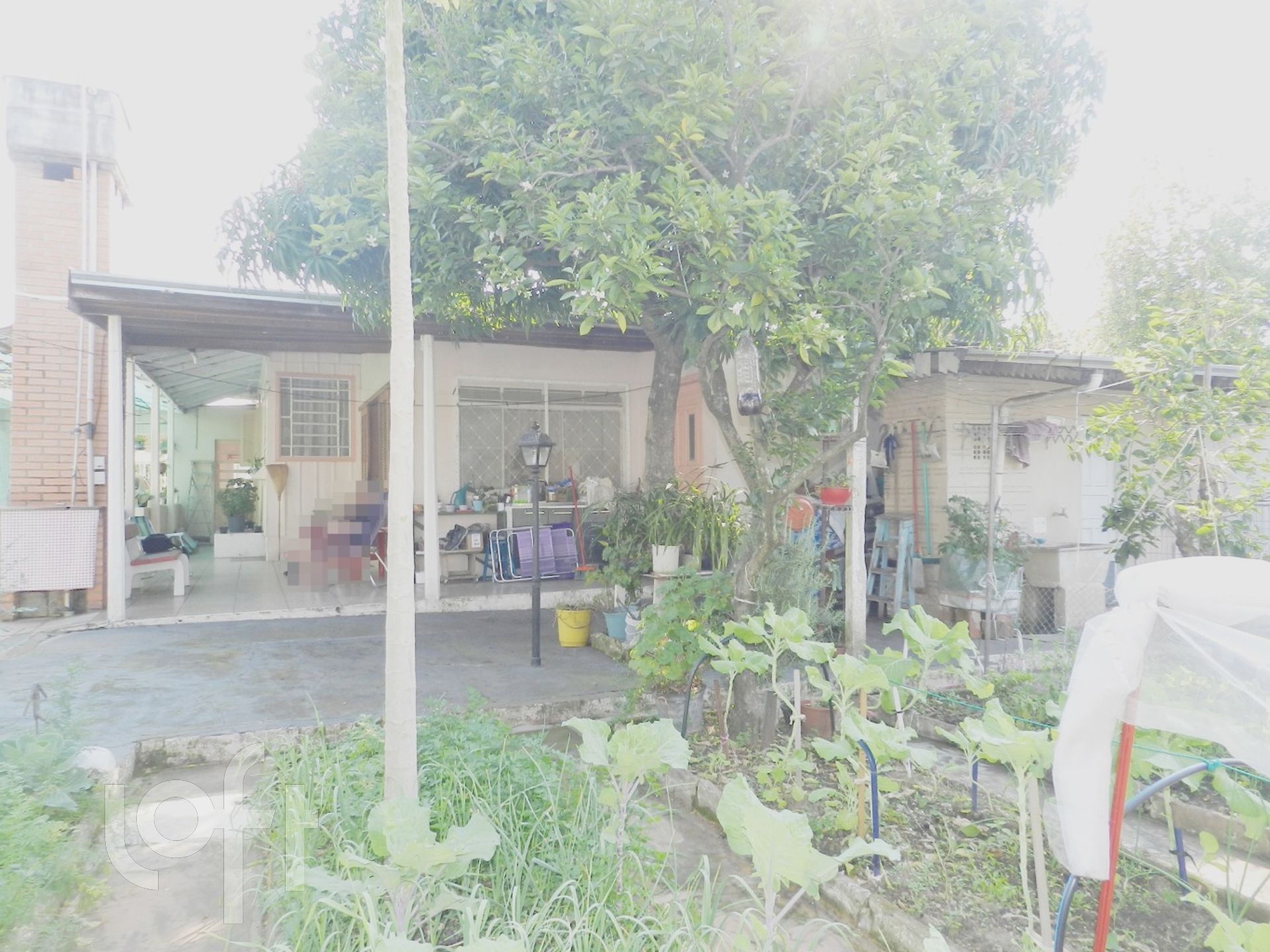 Imagem da propriedade 6