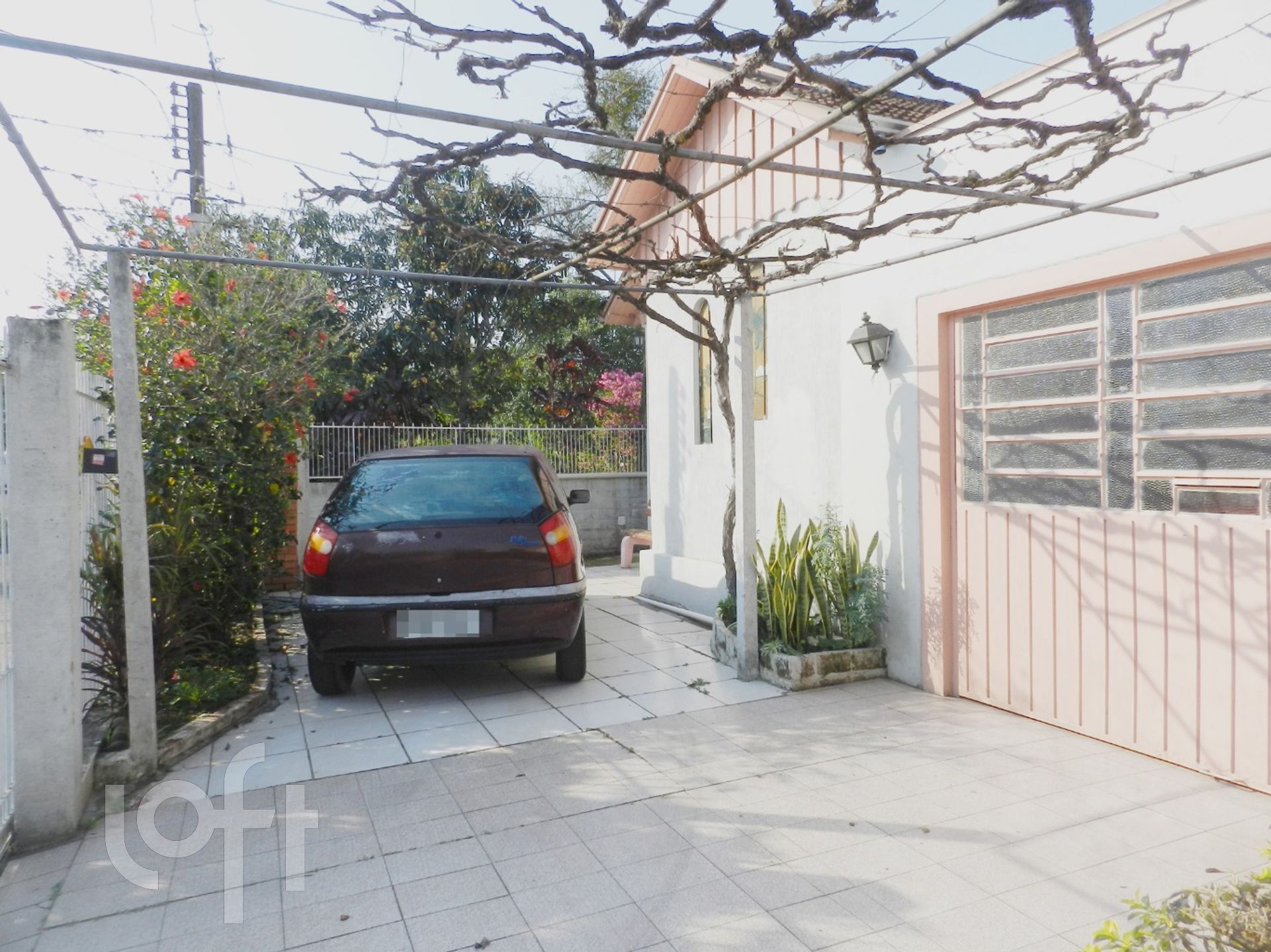 Imagem da propriedade 3