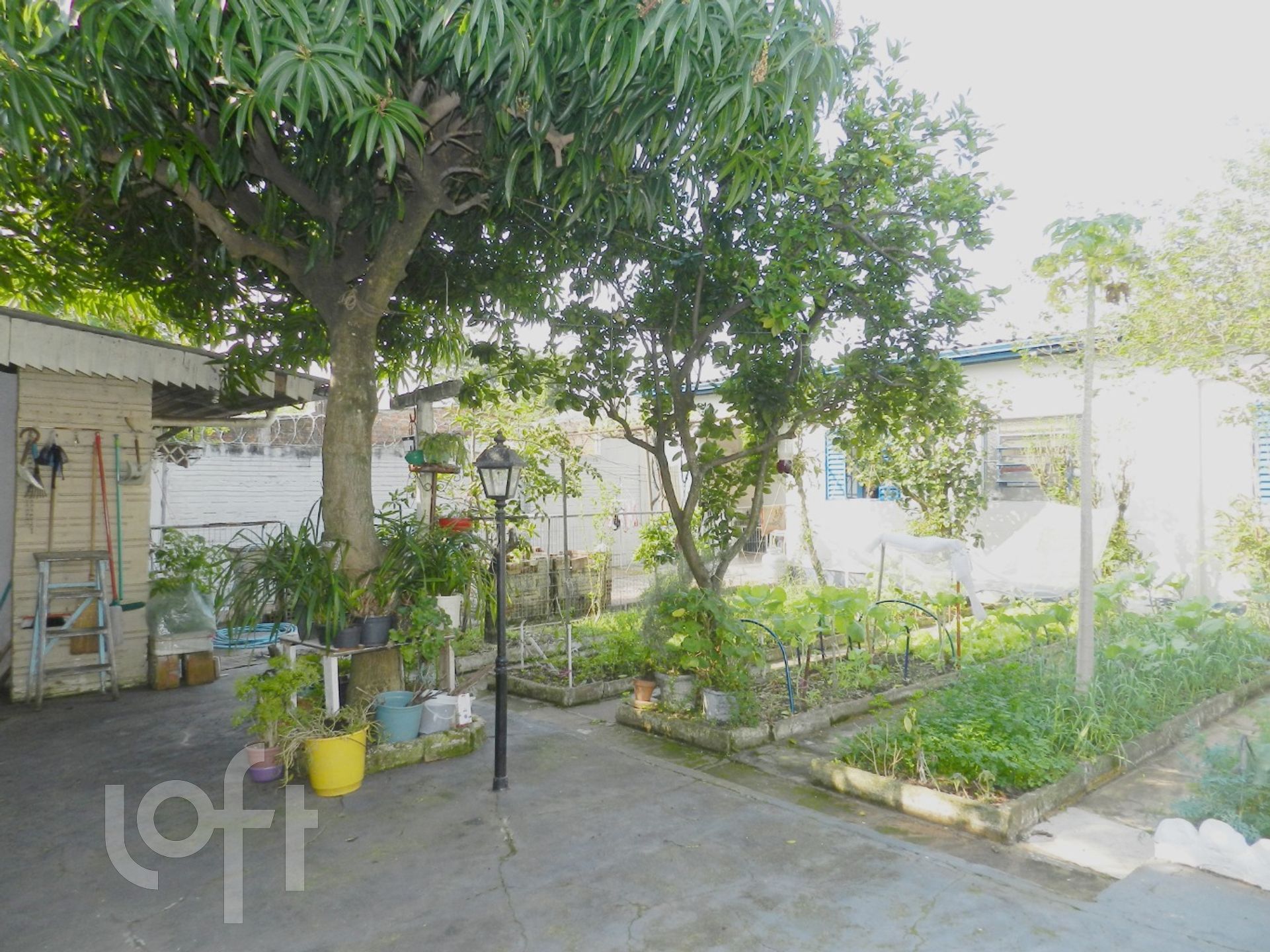 Imagem da propriedade 5