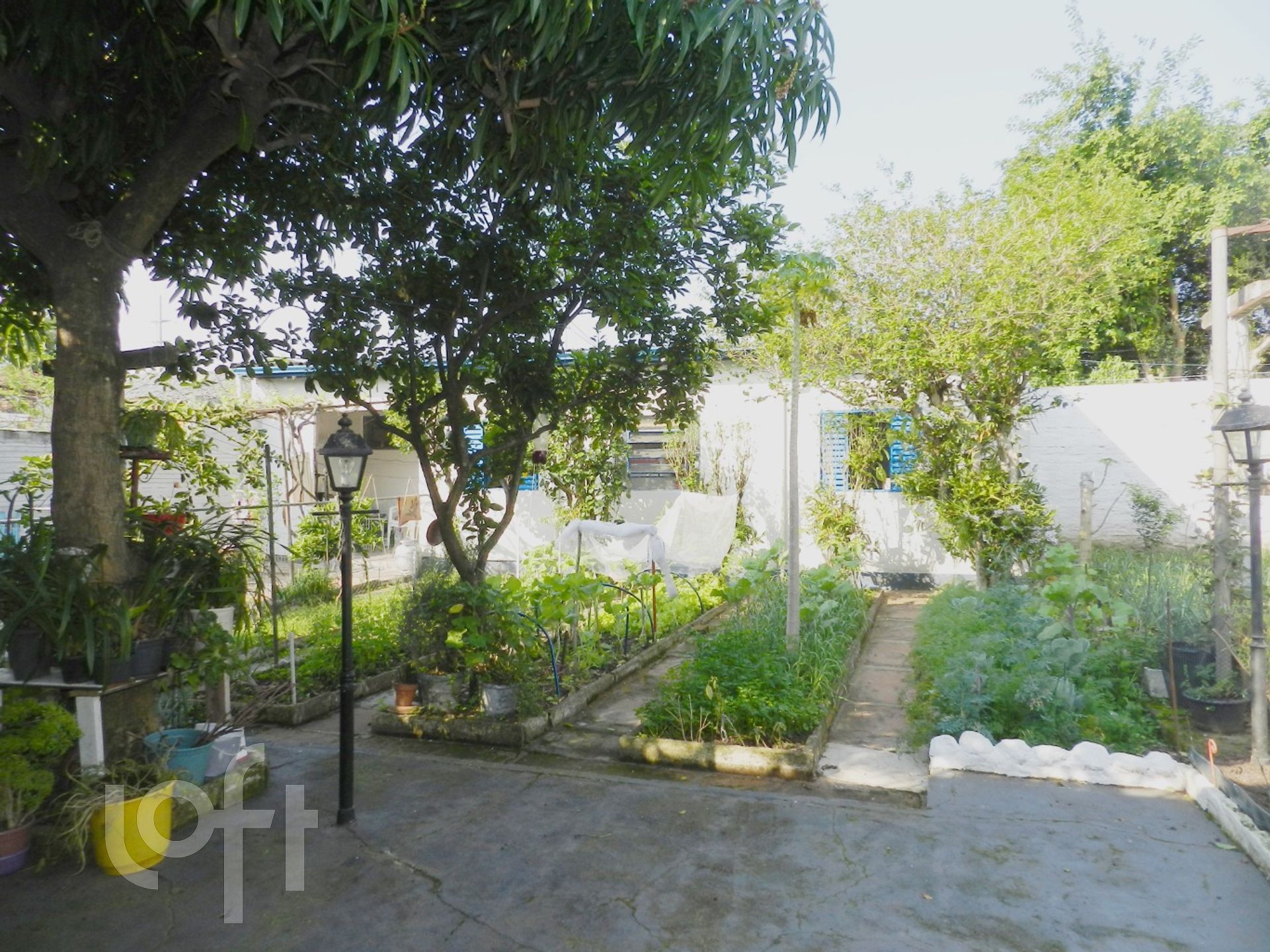 Imagem da propriedade 4