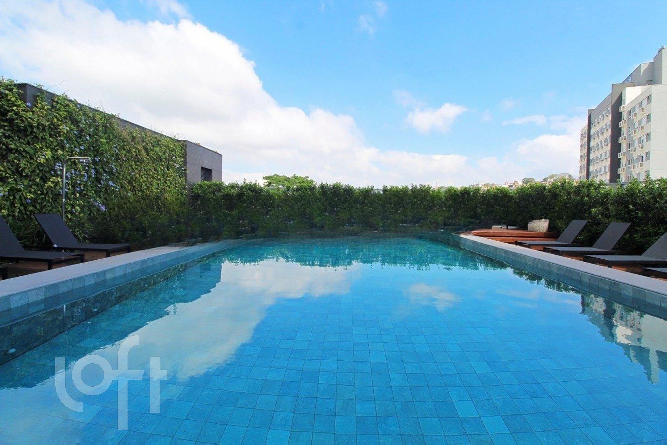 Imagem da propriedade 30