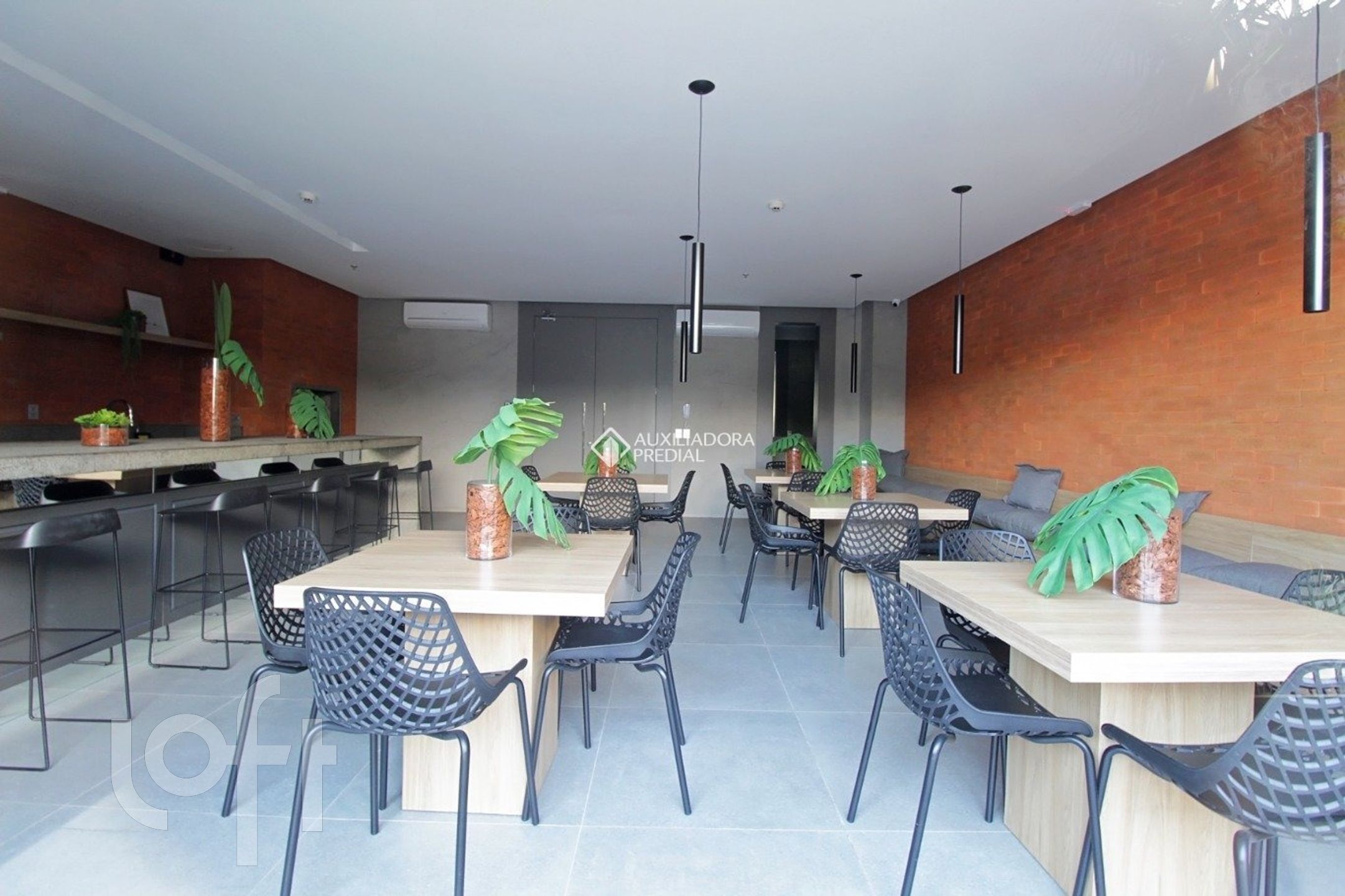 Imagem da propriedade 22