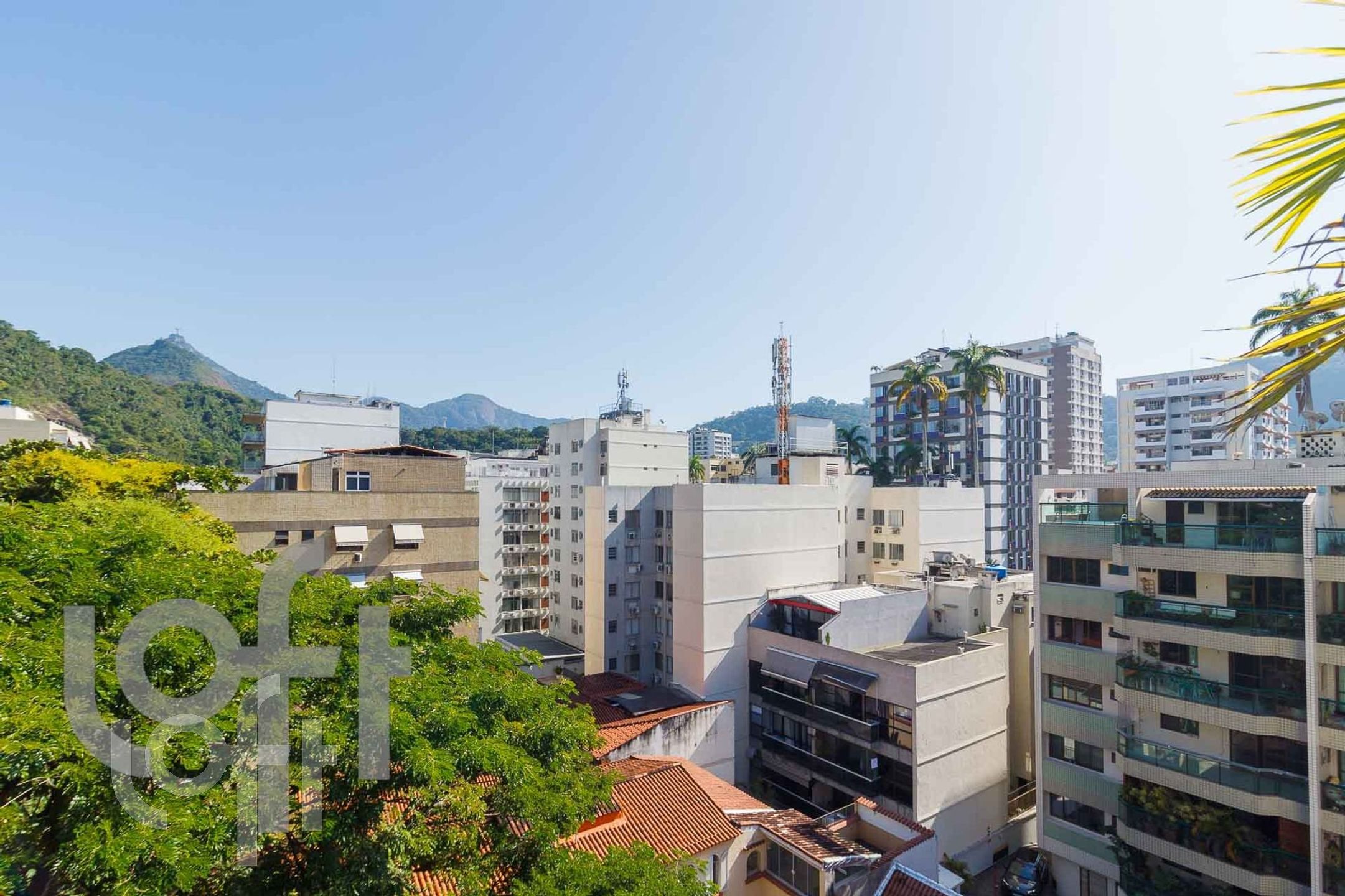 Imagem da propriedade 3
