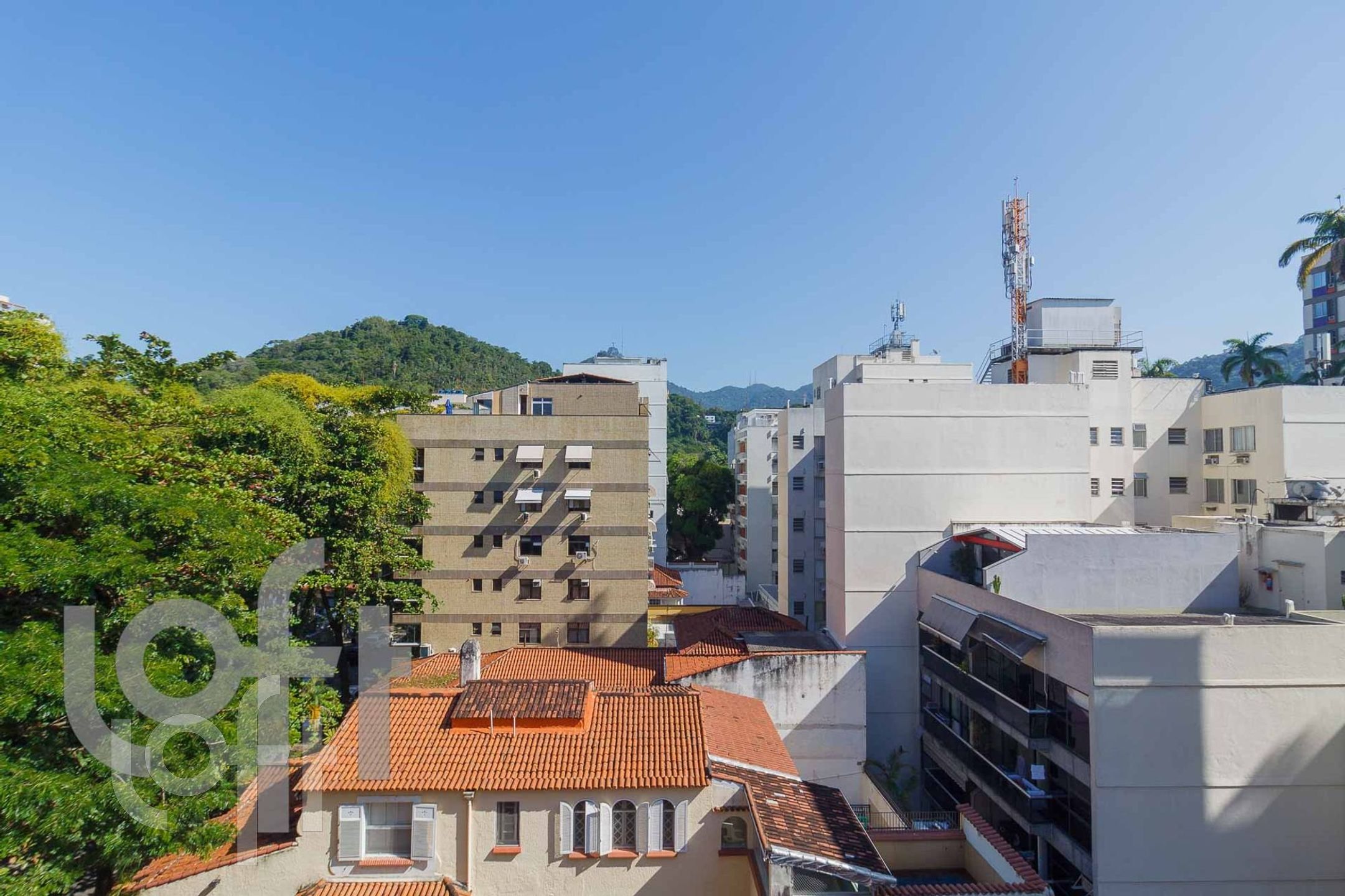 Imagem da propriedade 31
