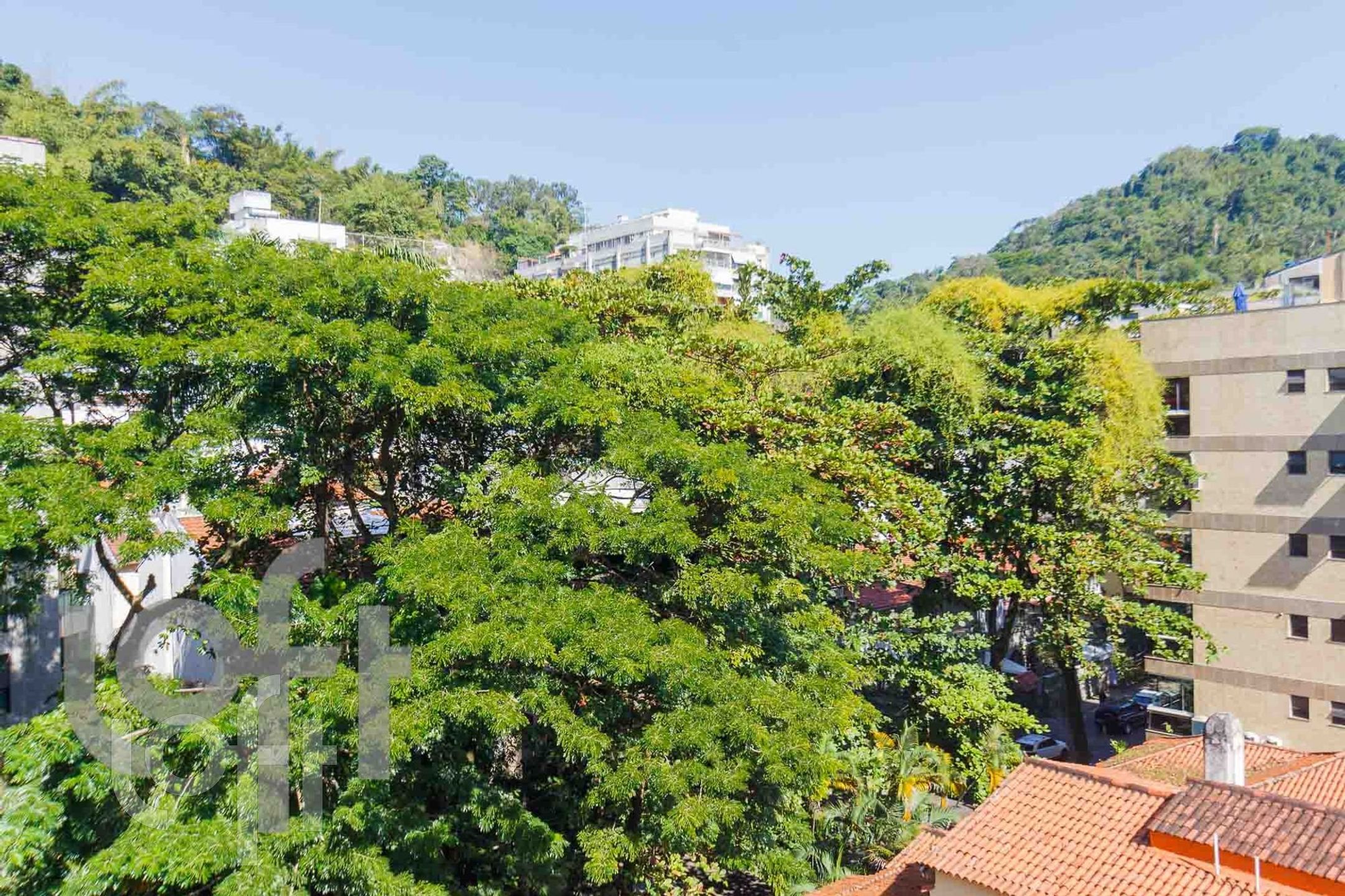 Imagem da propriedade 16