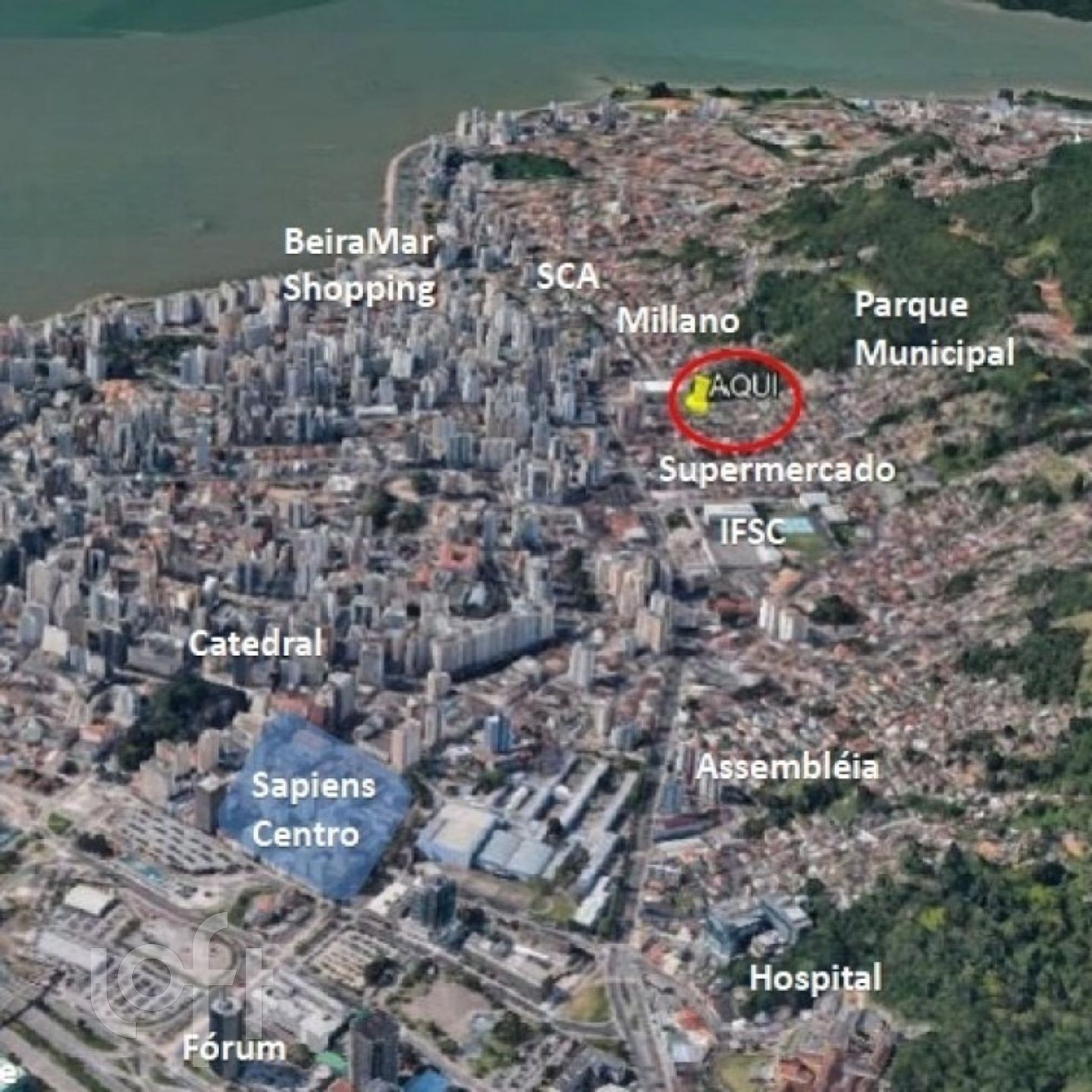 Imagem da propriedade 11