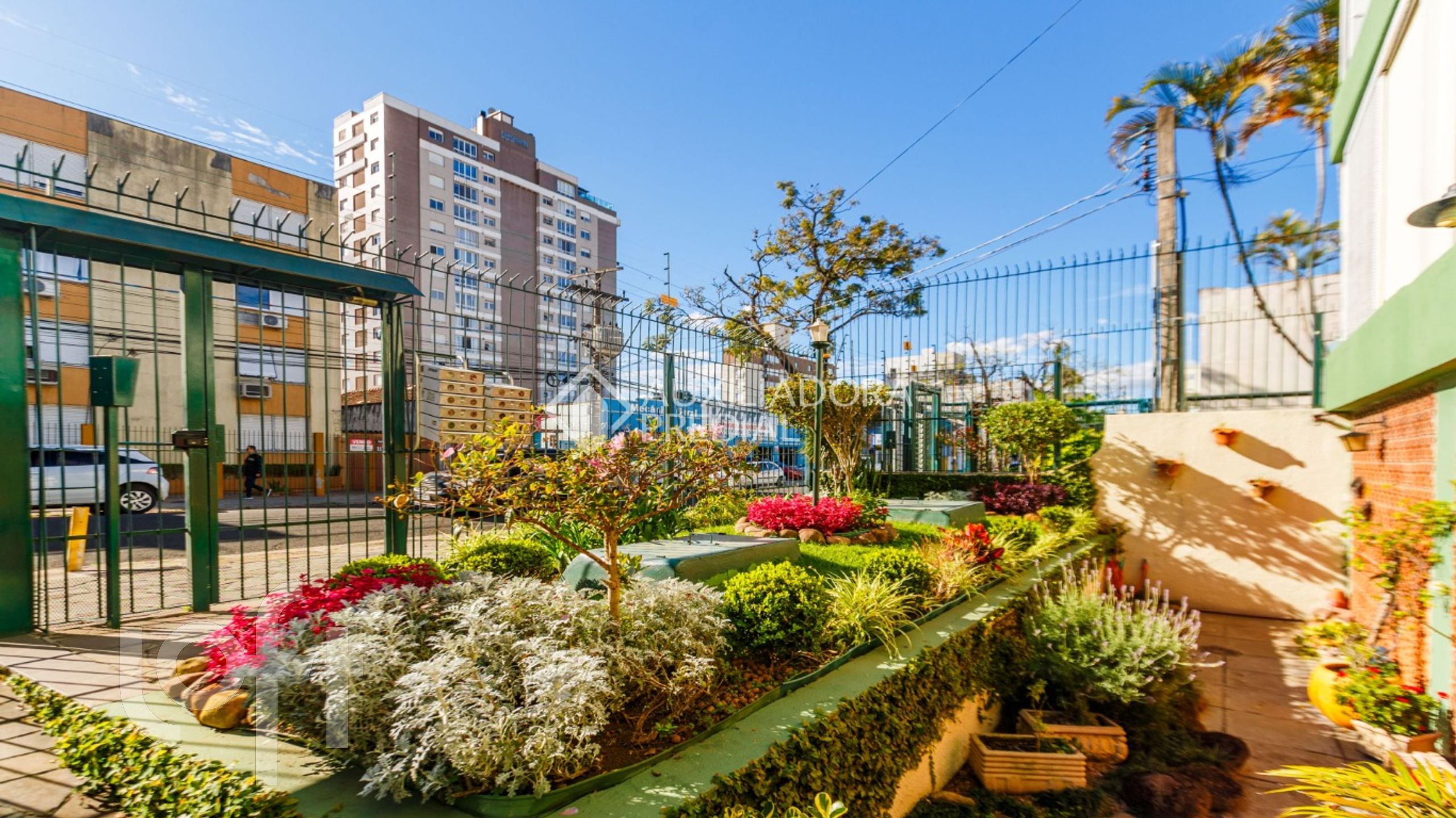 Imagem da propriedade 29