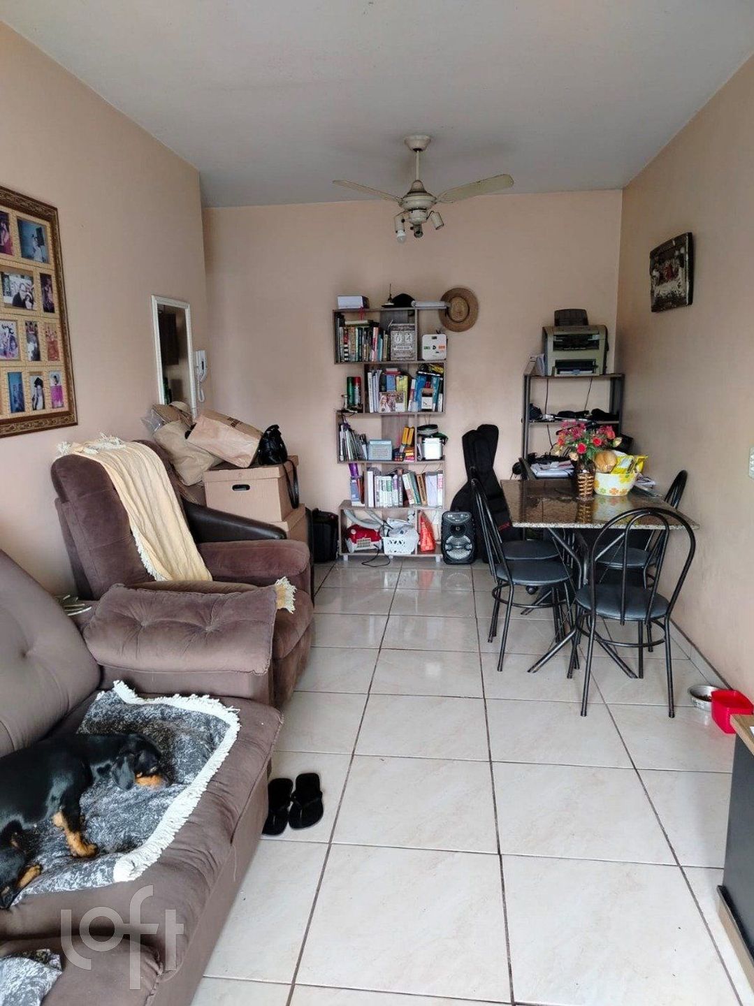 Imagem da propriedade 3