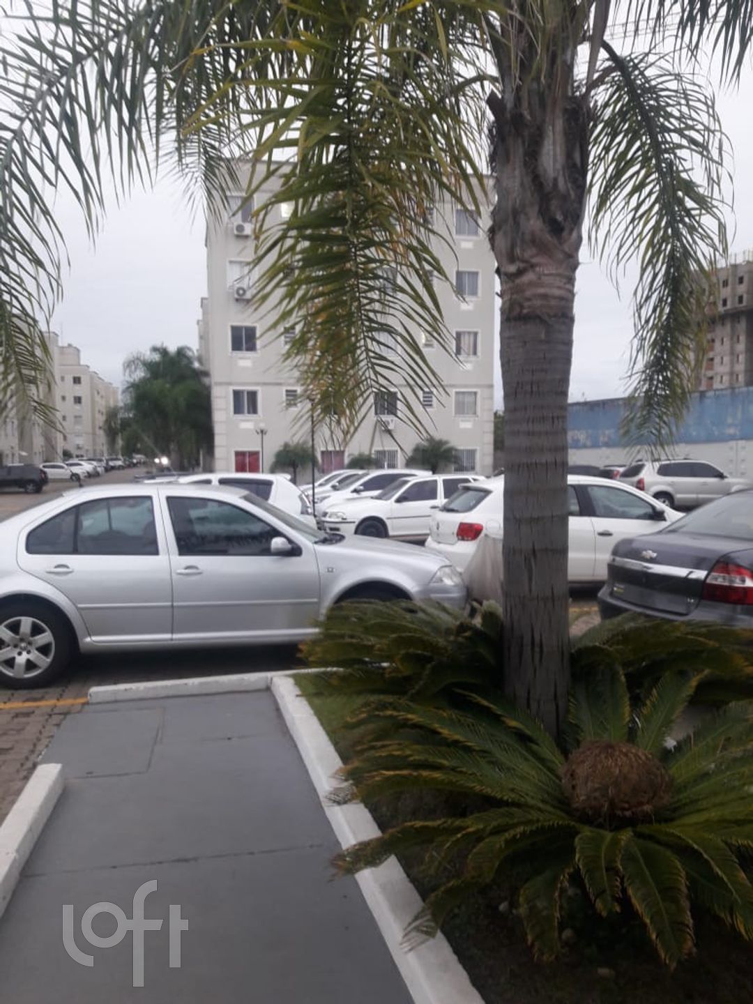 Imagem da propriedade 19