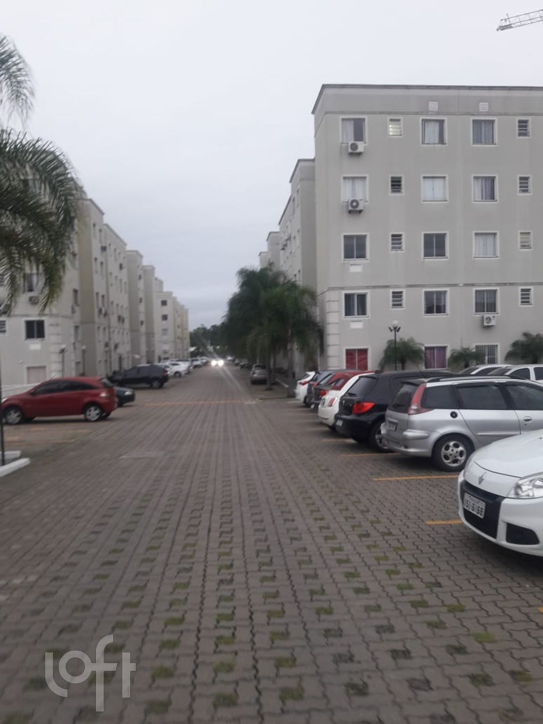 Imagem da propriedade 18