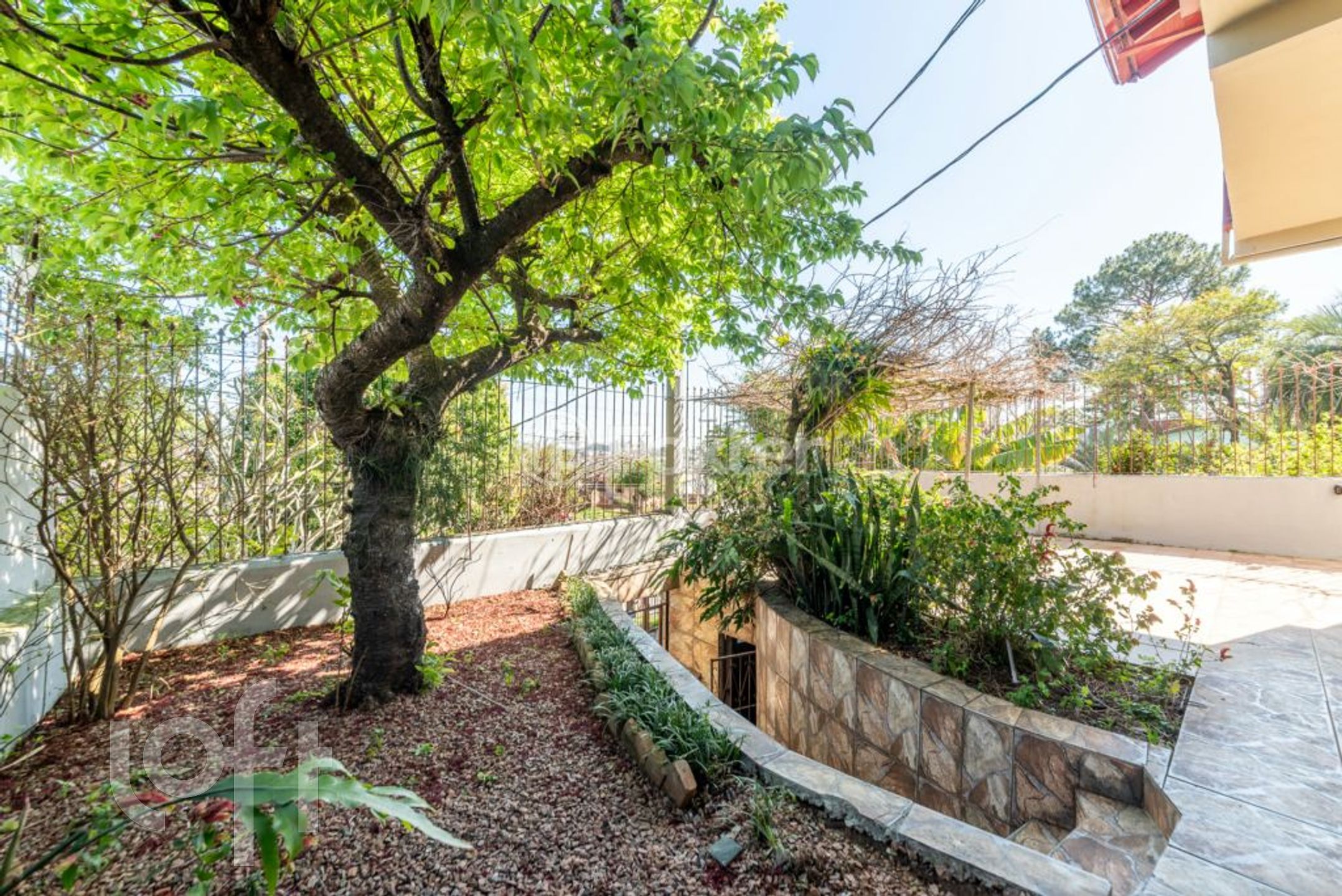 Imagem da propriedade 36