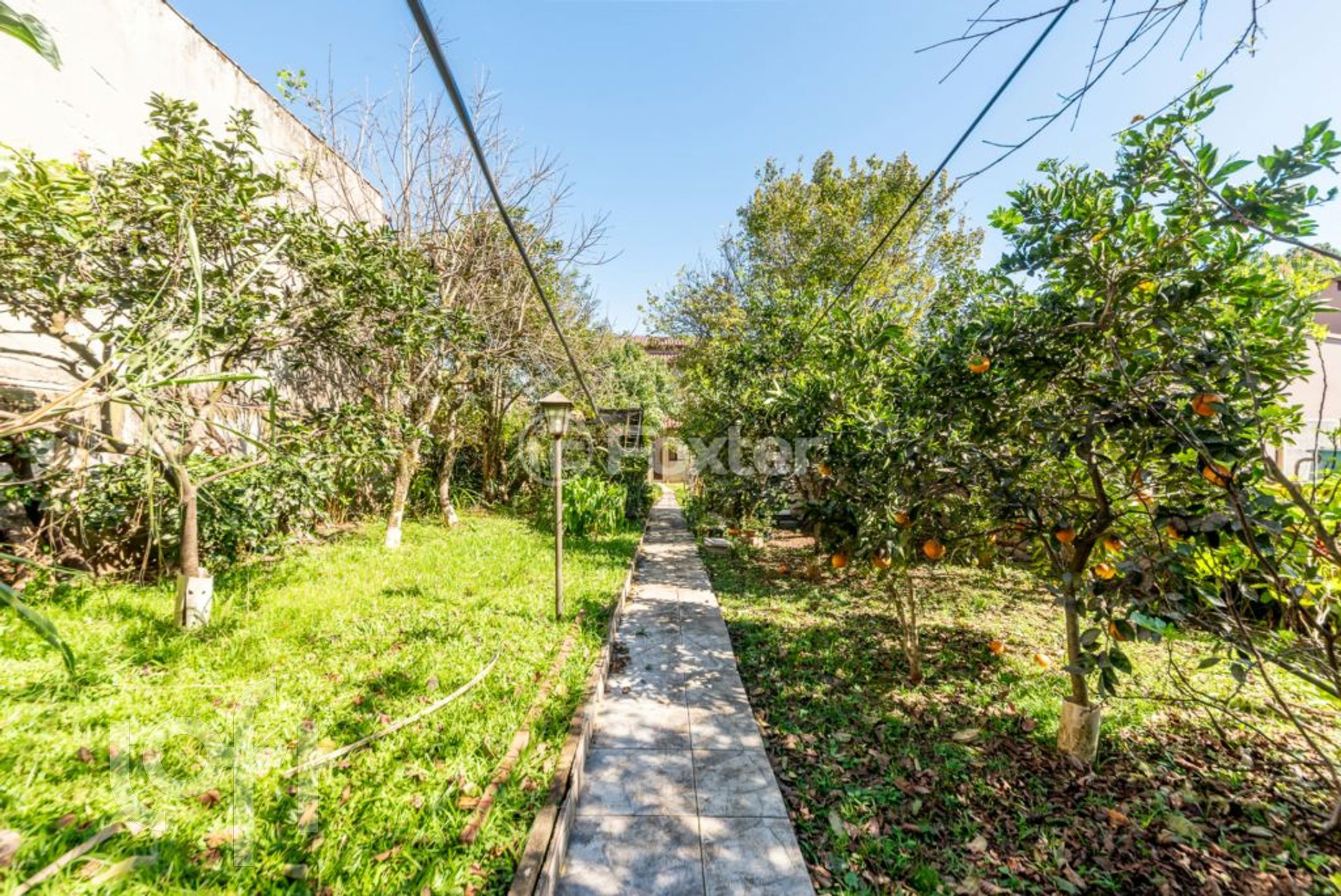 Imagem da propriedade 35