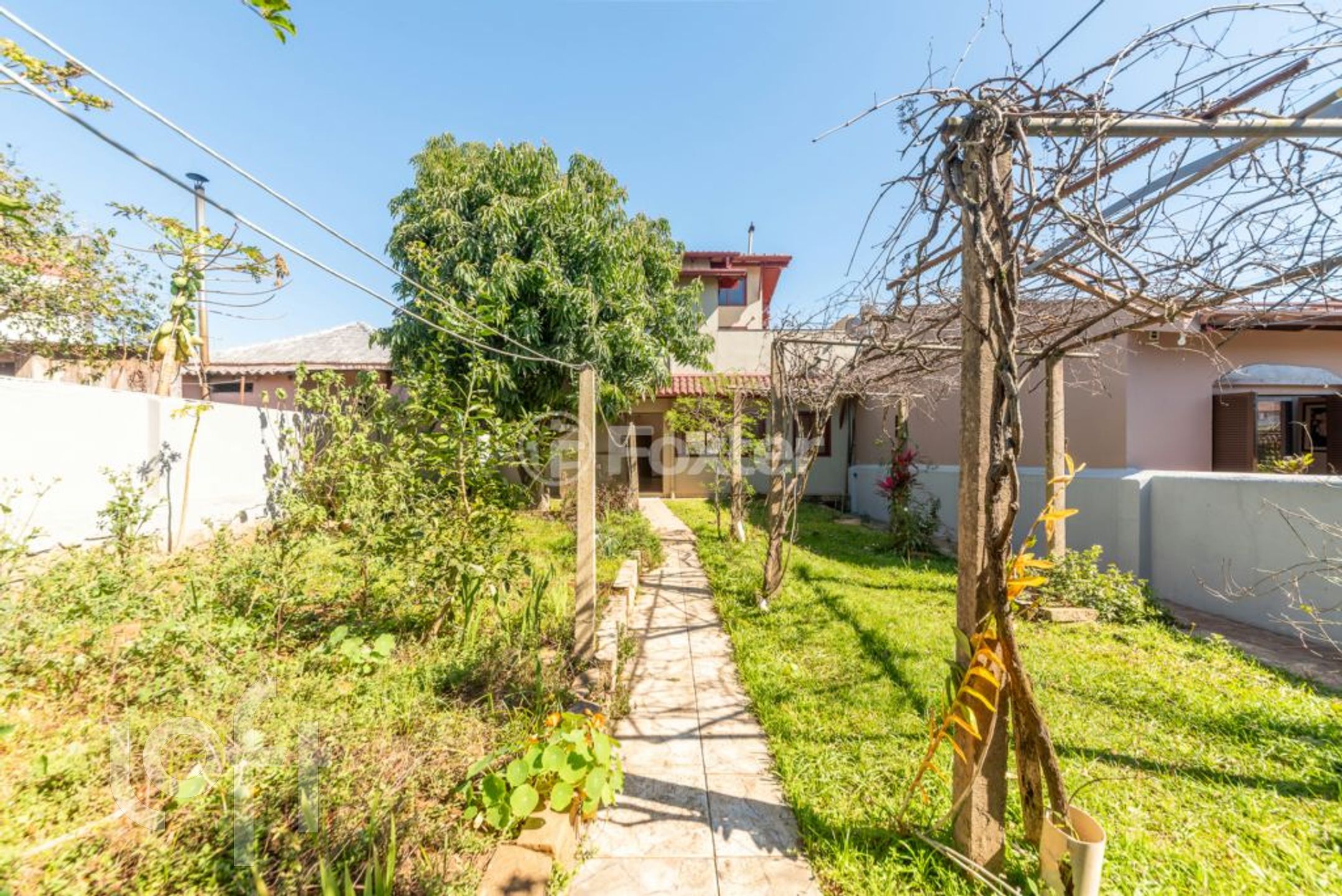 Imagem da propriedade 33