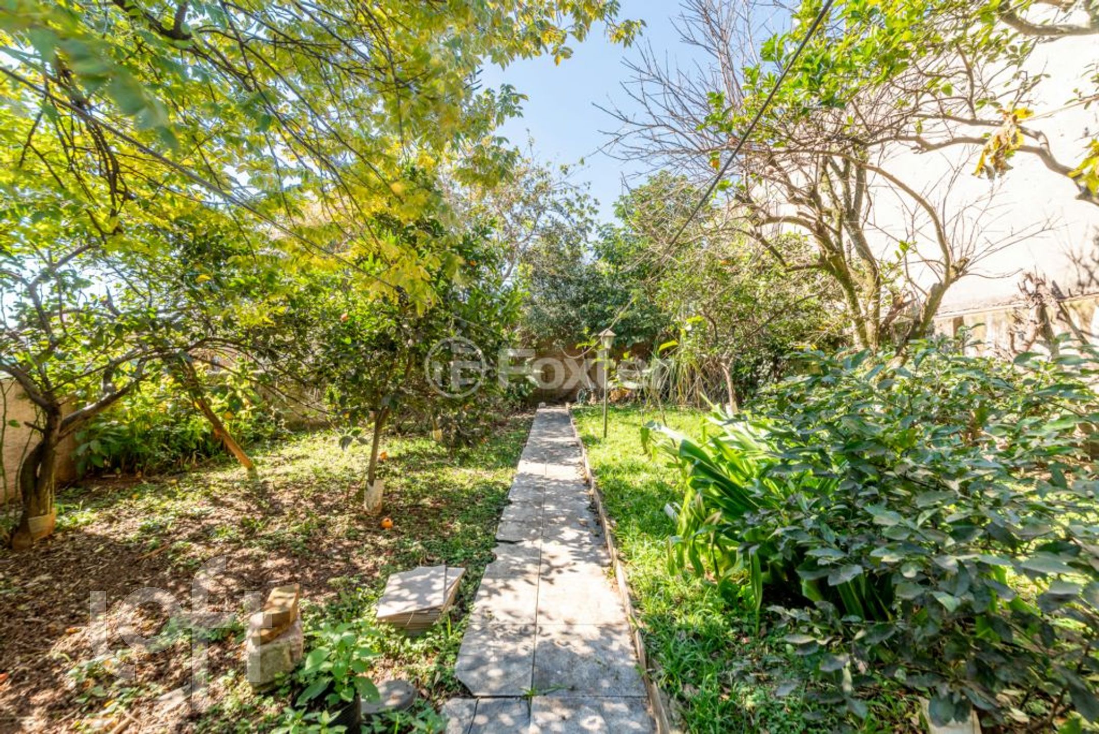 Imagem da propriedade 34