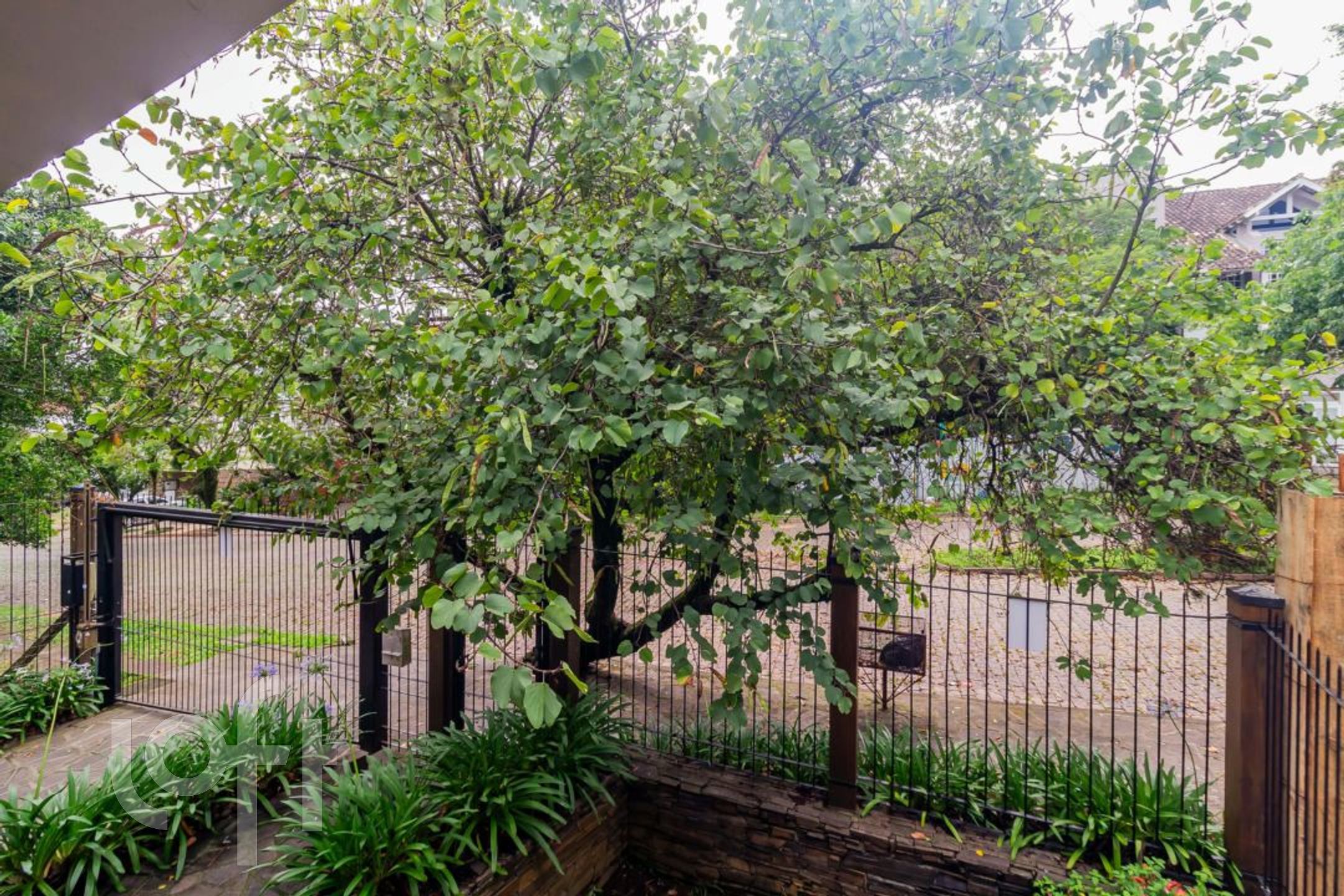 Imagem da propriedade 51