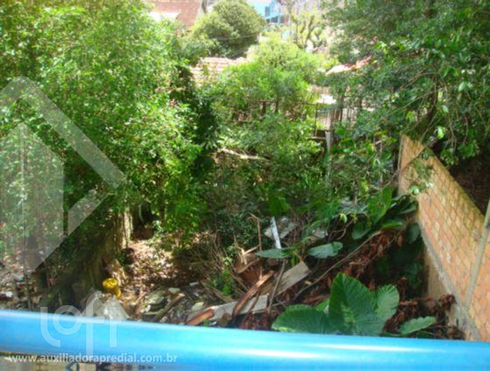 Imagem da propriedade 13