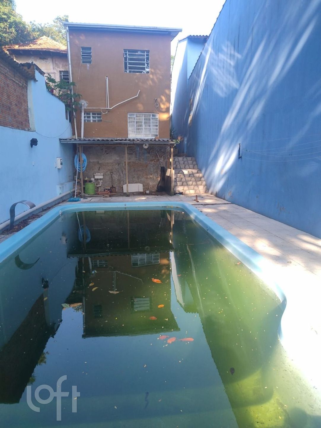 Imagem da propriedade 13