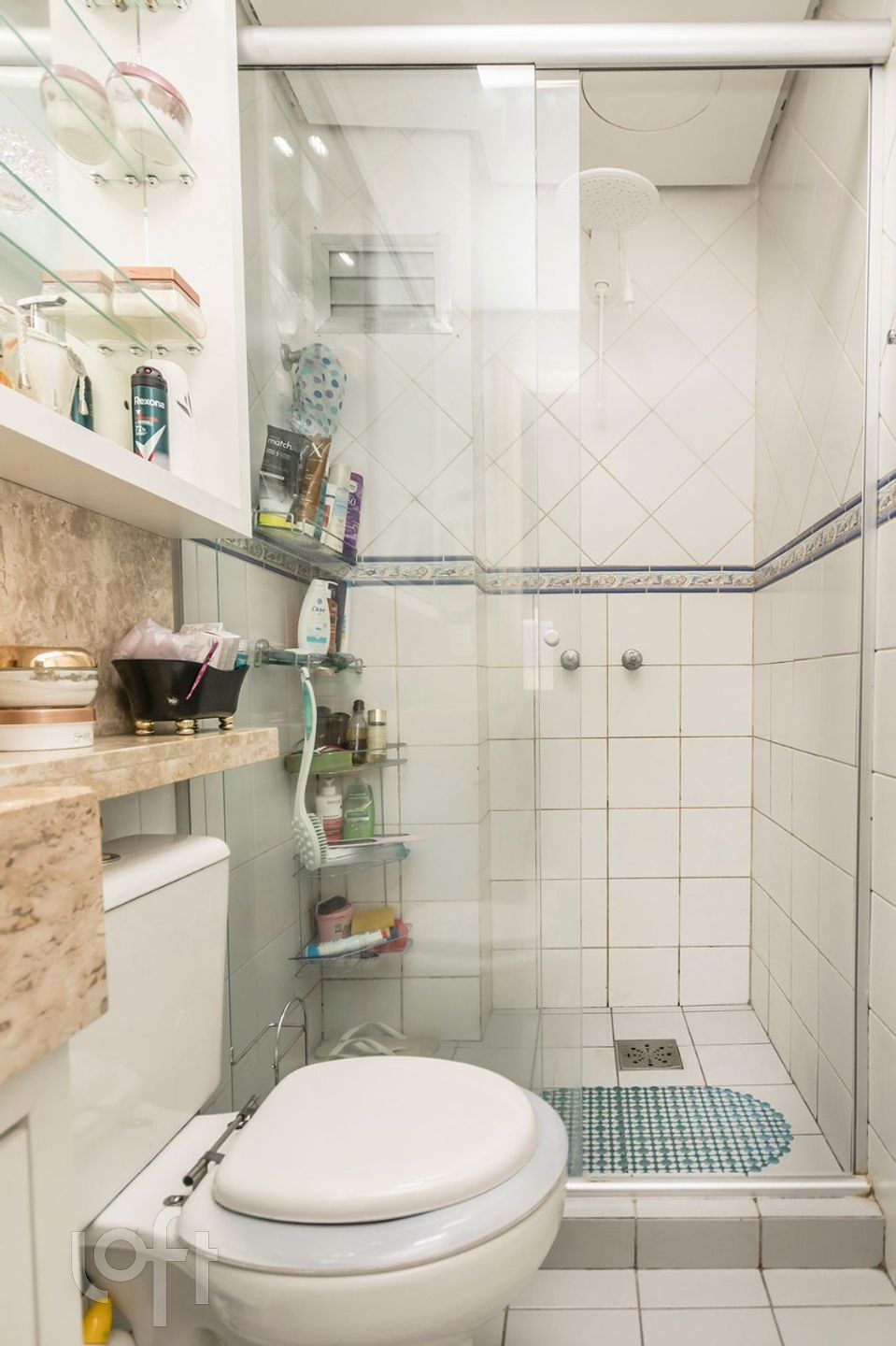 Imagem da propriedade 13