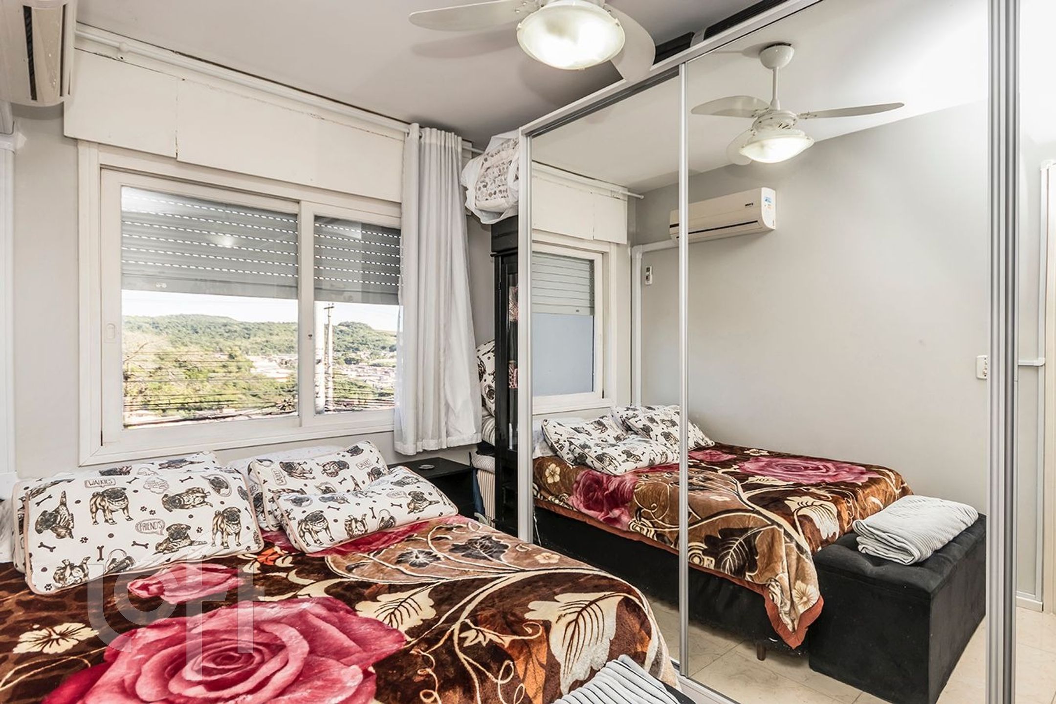 Imagem da propriedade 31