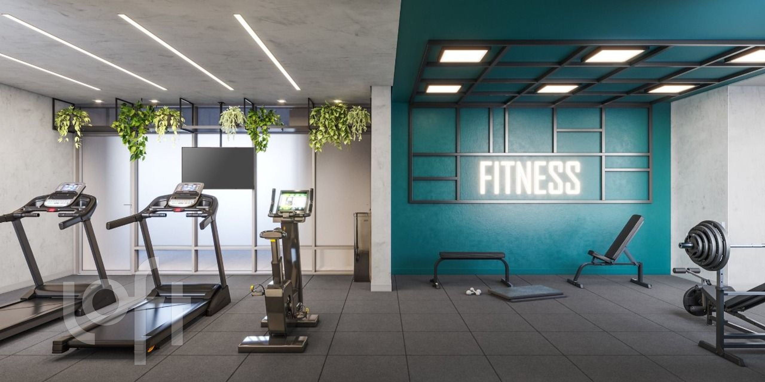 Imagem da propriedade 7