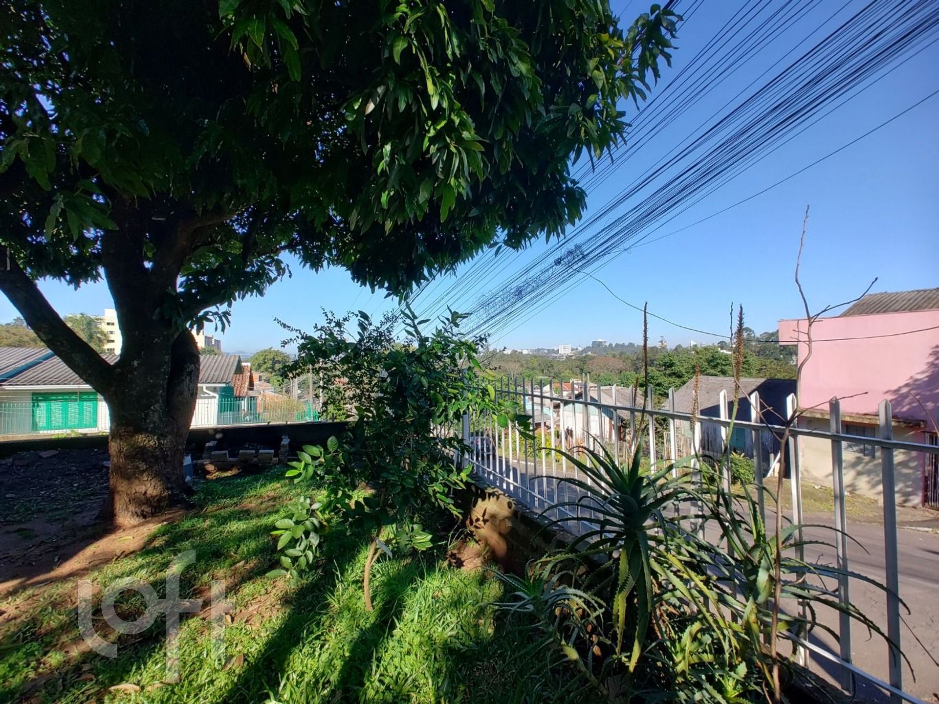 Imagem da propriedade 5