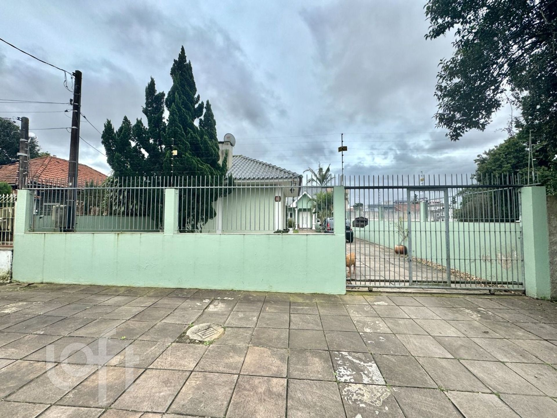 Imagem da propriedade 3