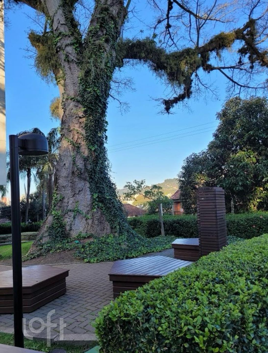 Imagem da propriedade 12