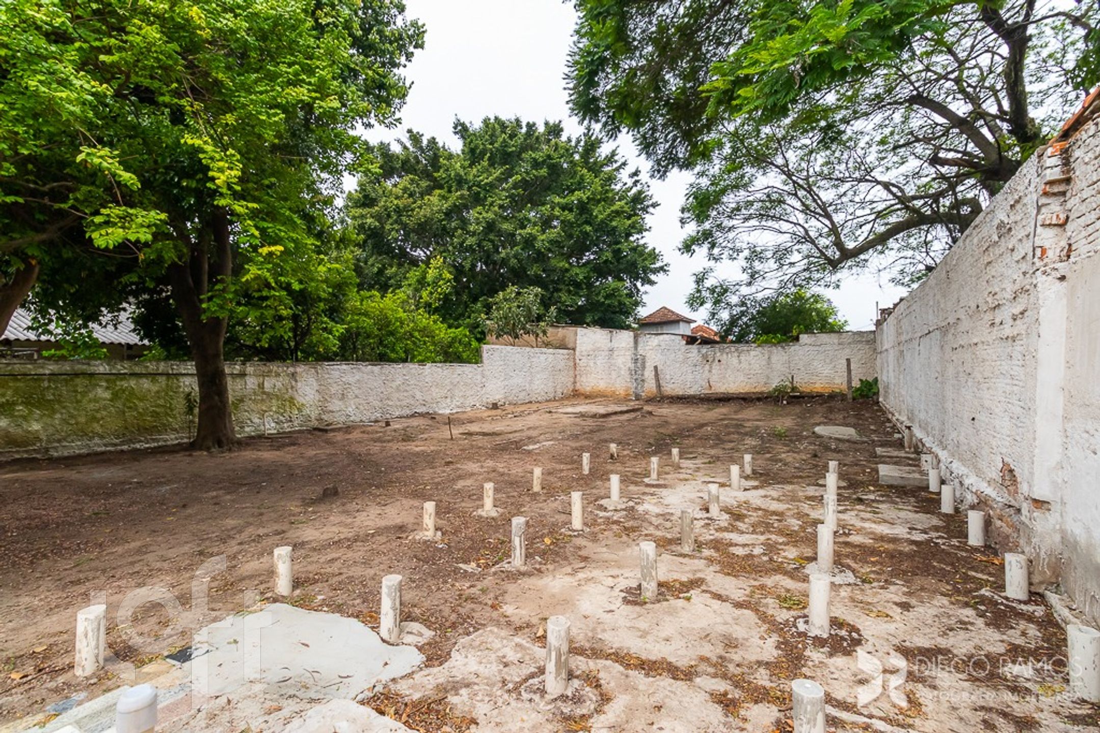 Imagem da propriedade 28