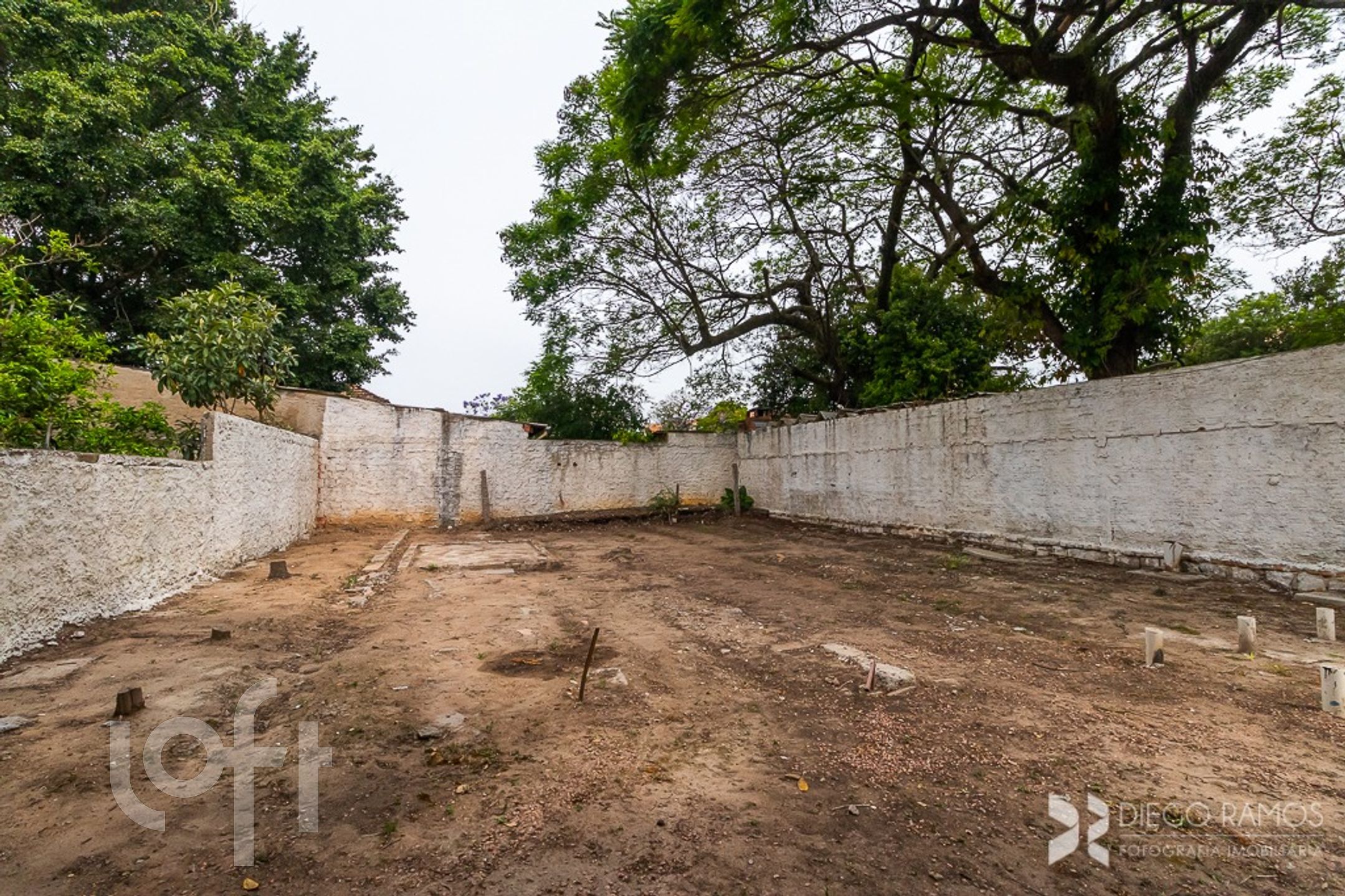 Imagem da propriedade 29