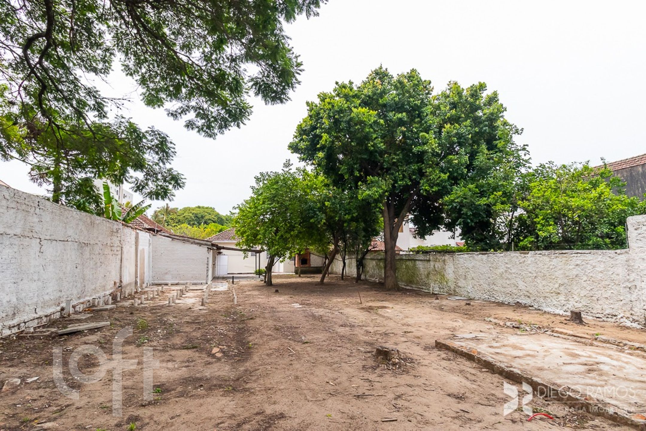 Imagem da propriedade 30