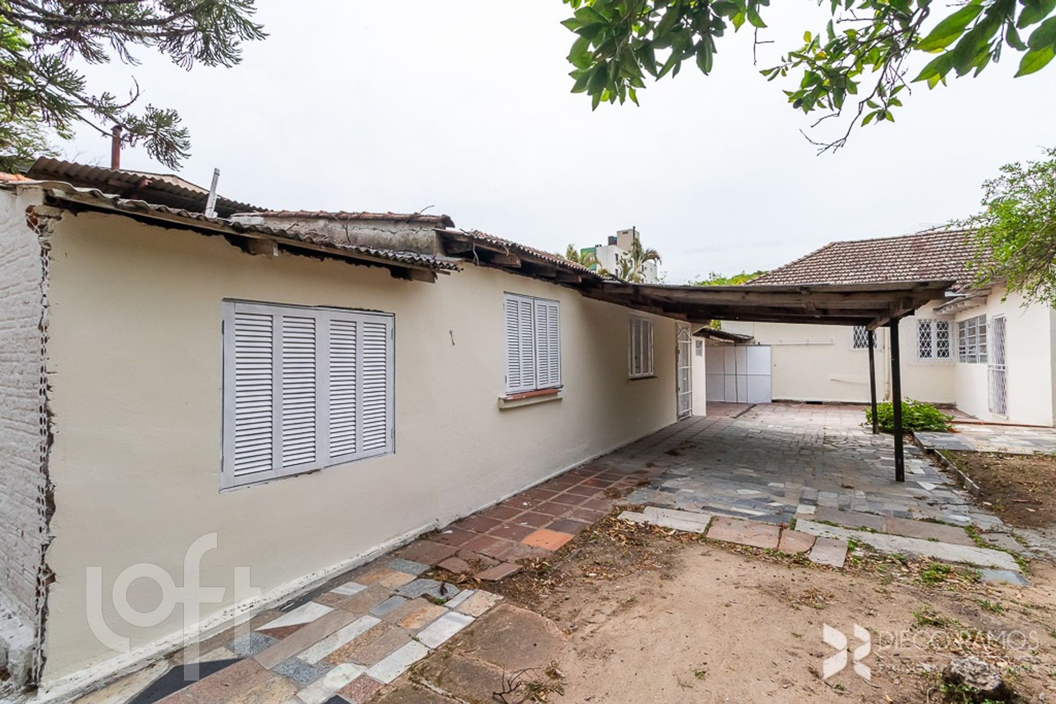 Imagem da propriedade 31