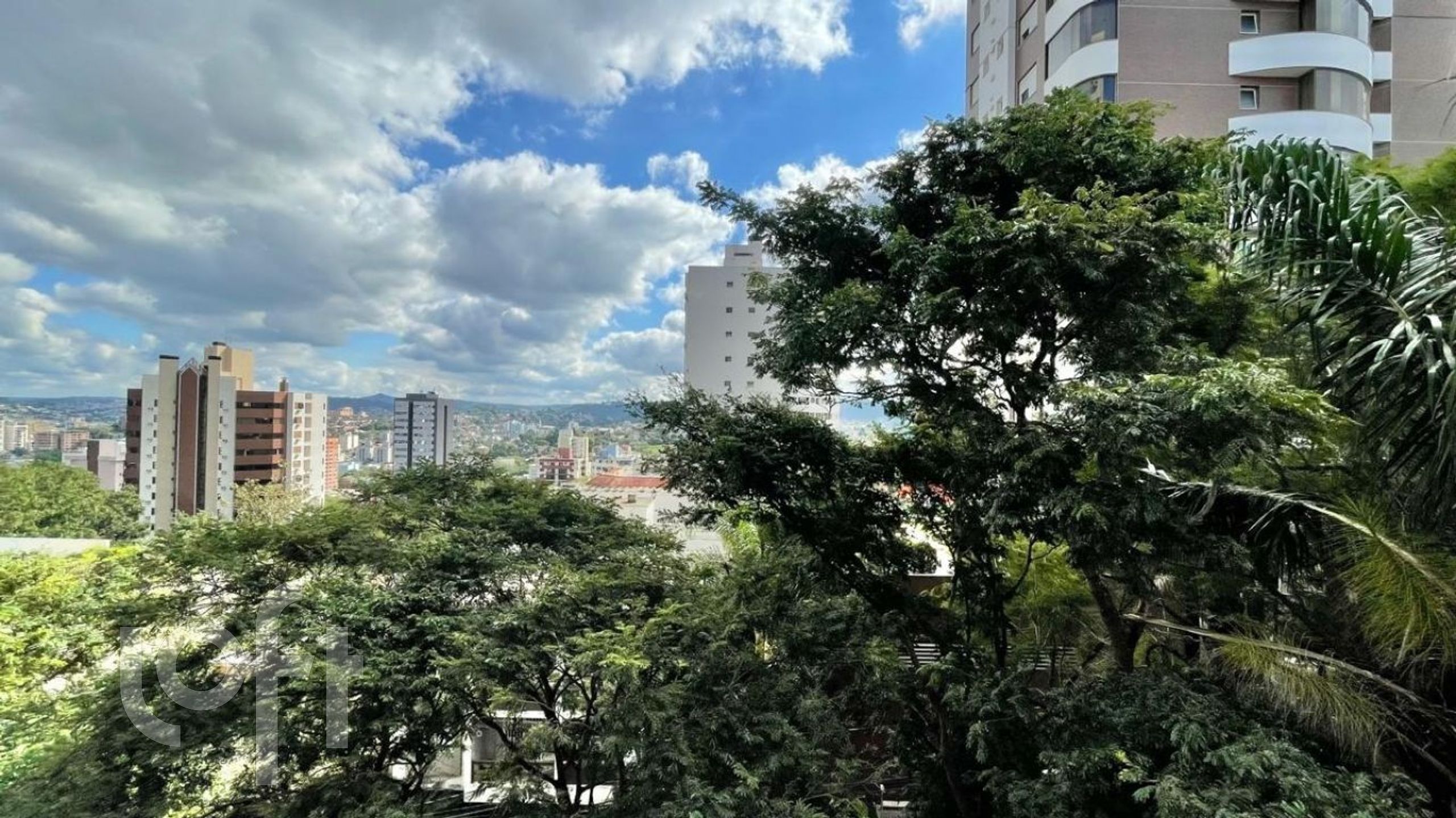 Imagem da propriedade 15