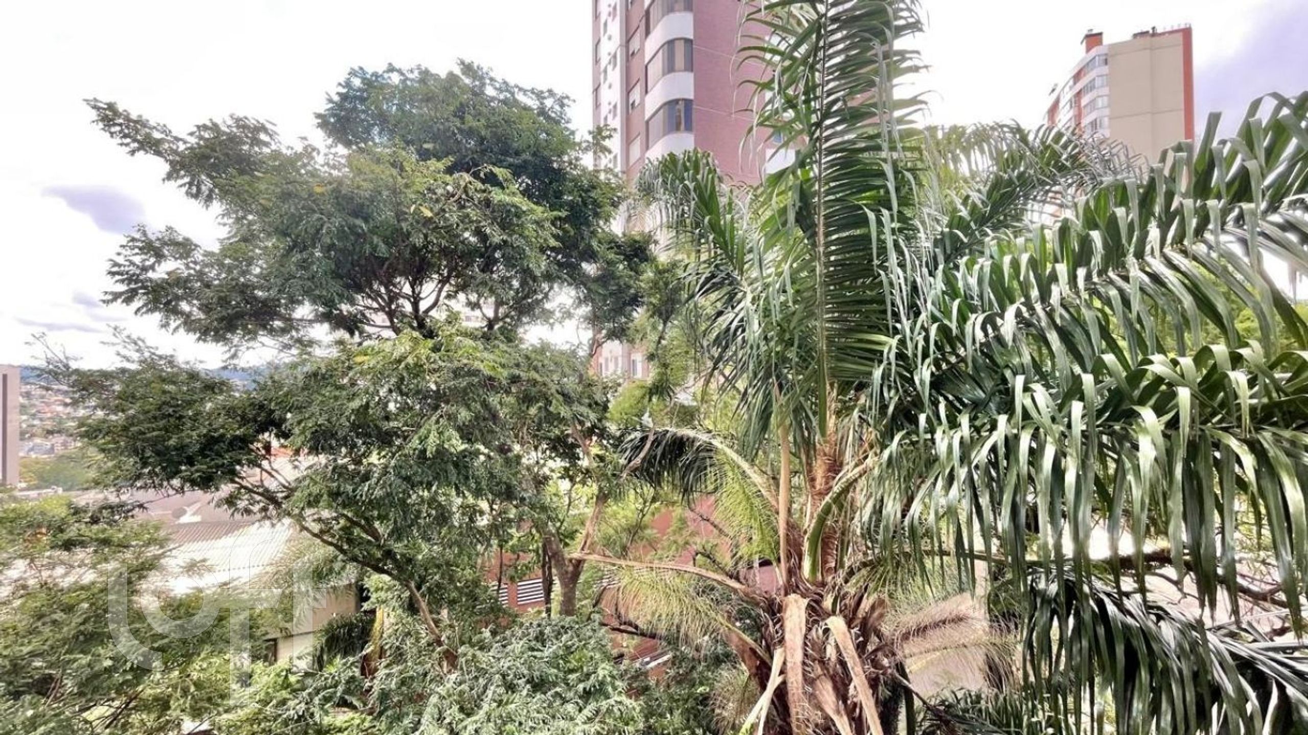 Imagem da propriedade 22