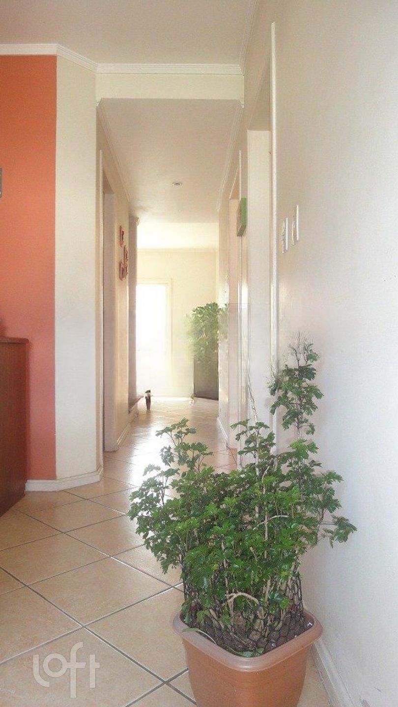 Imagem da propriedade 6