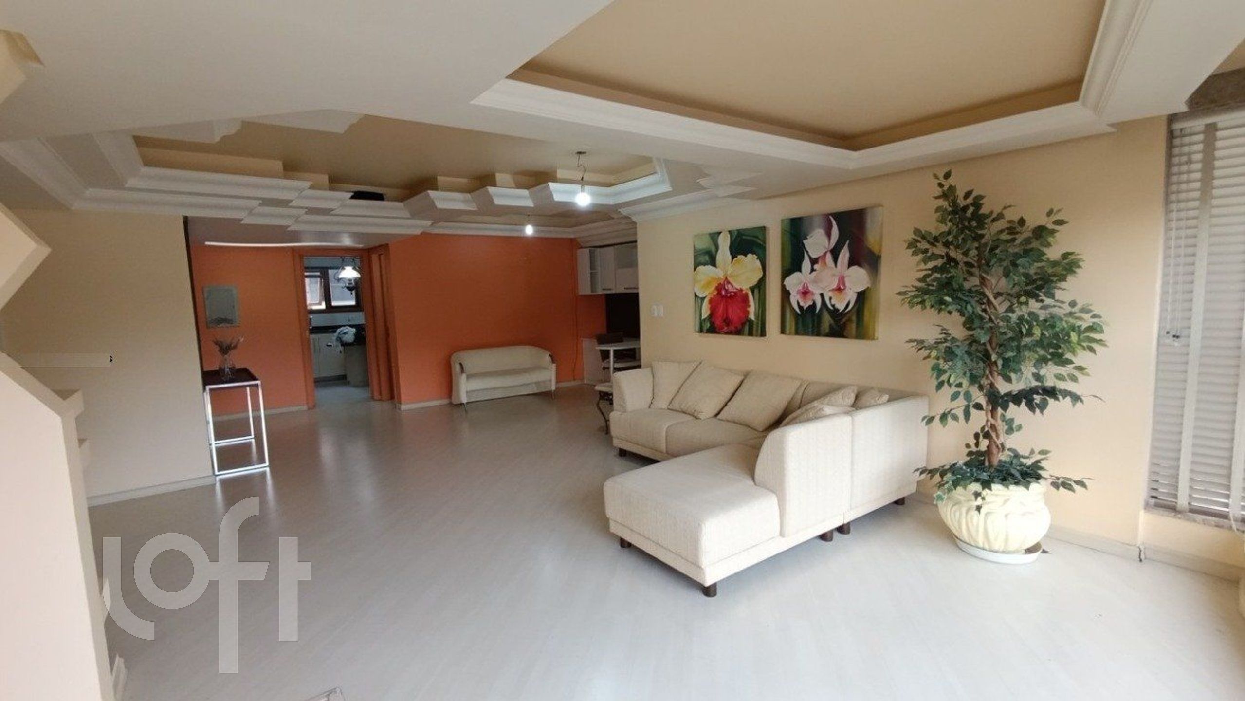 Imagem da propriedade 3