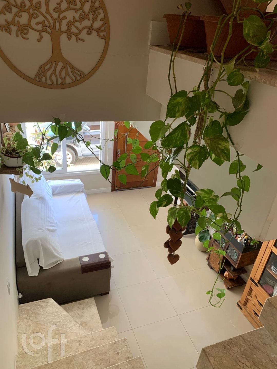 Imagem da propriedade 7