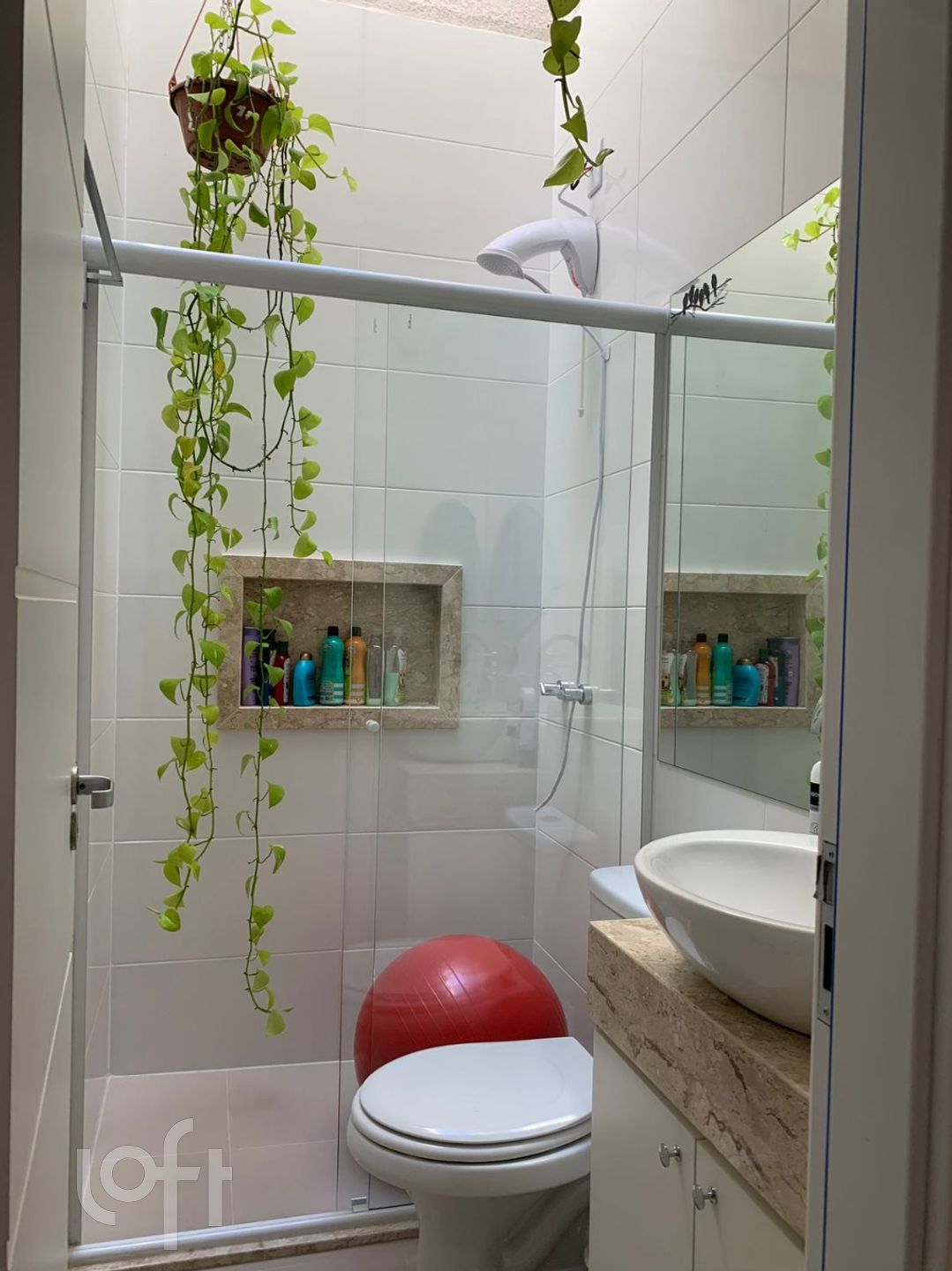 Imagem da propriedade 12