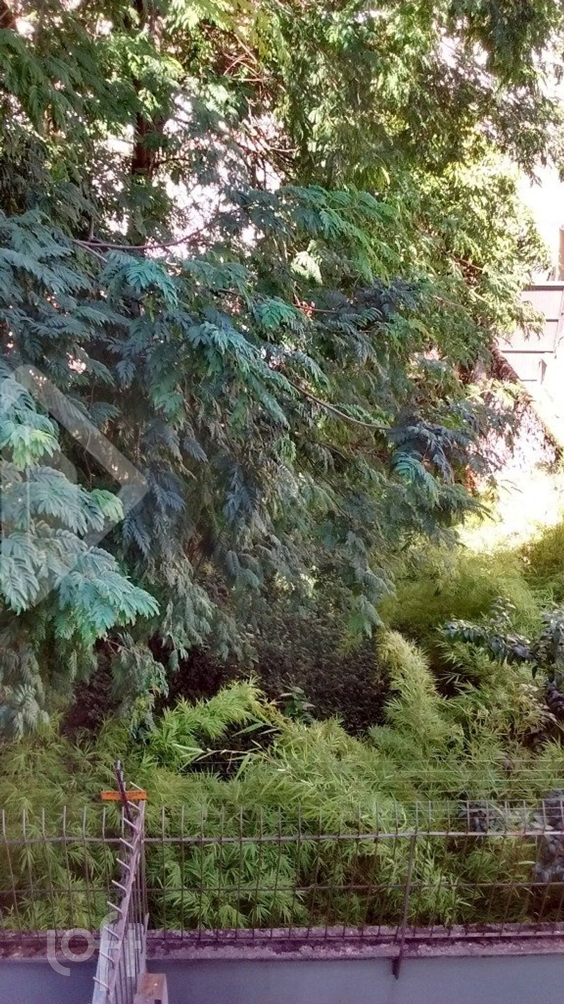 Imagem da propriedade 10