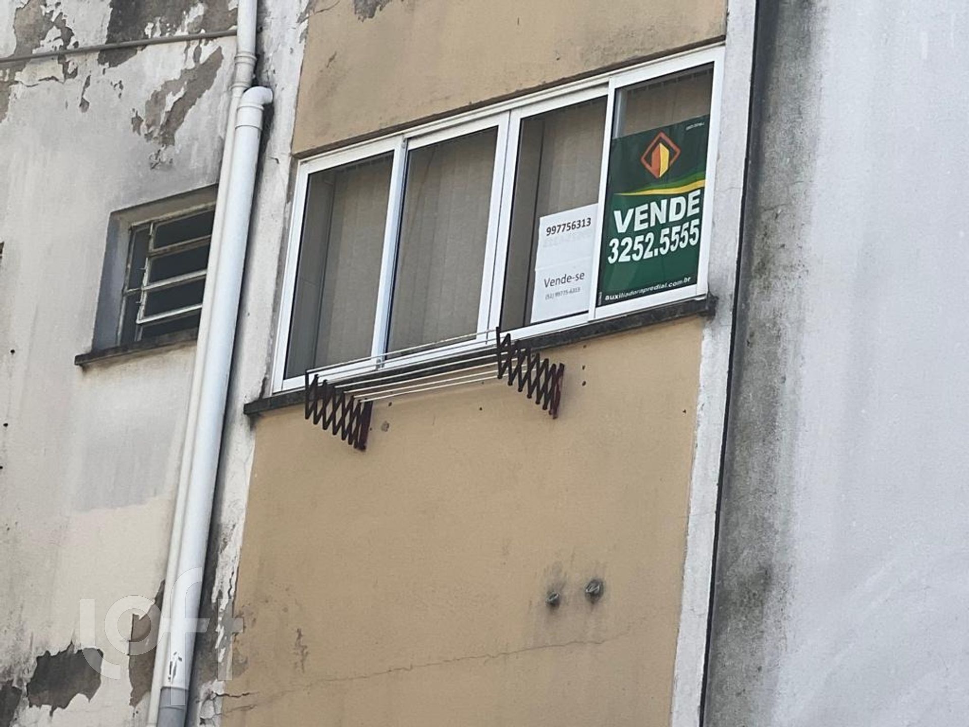 Imagem da propriedade 10