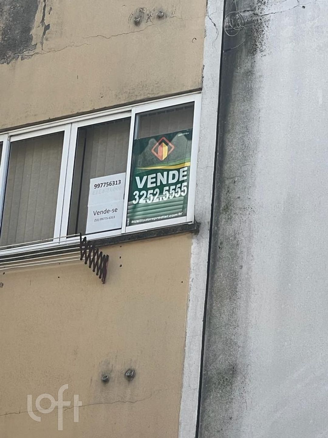 Imagem da propriedade 11