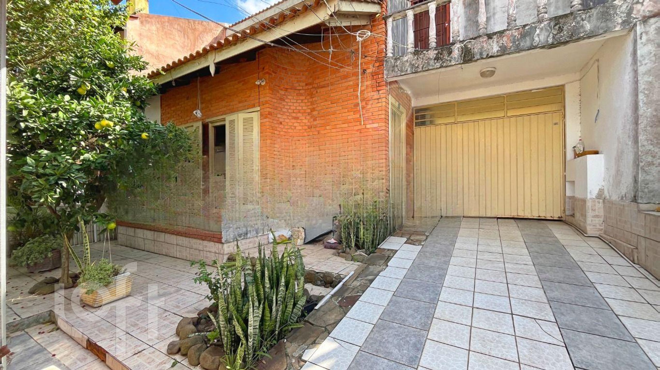 Imagem da propriedade 3