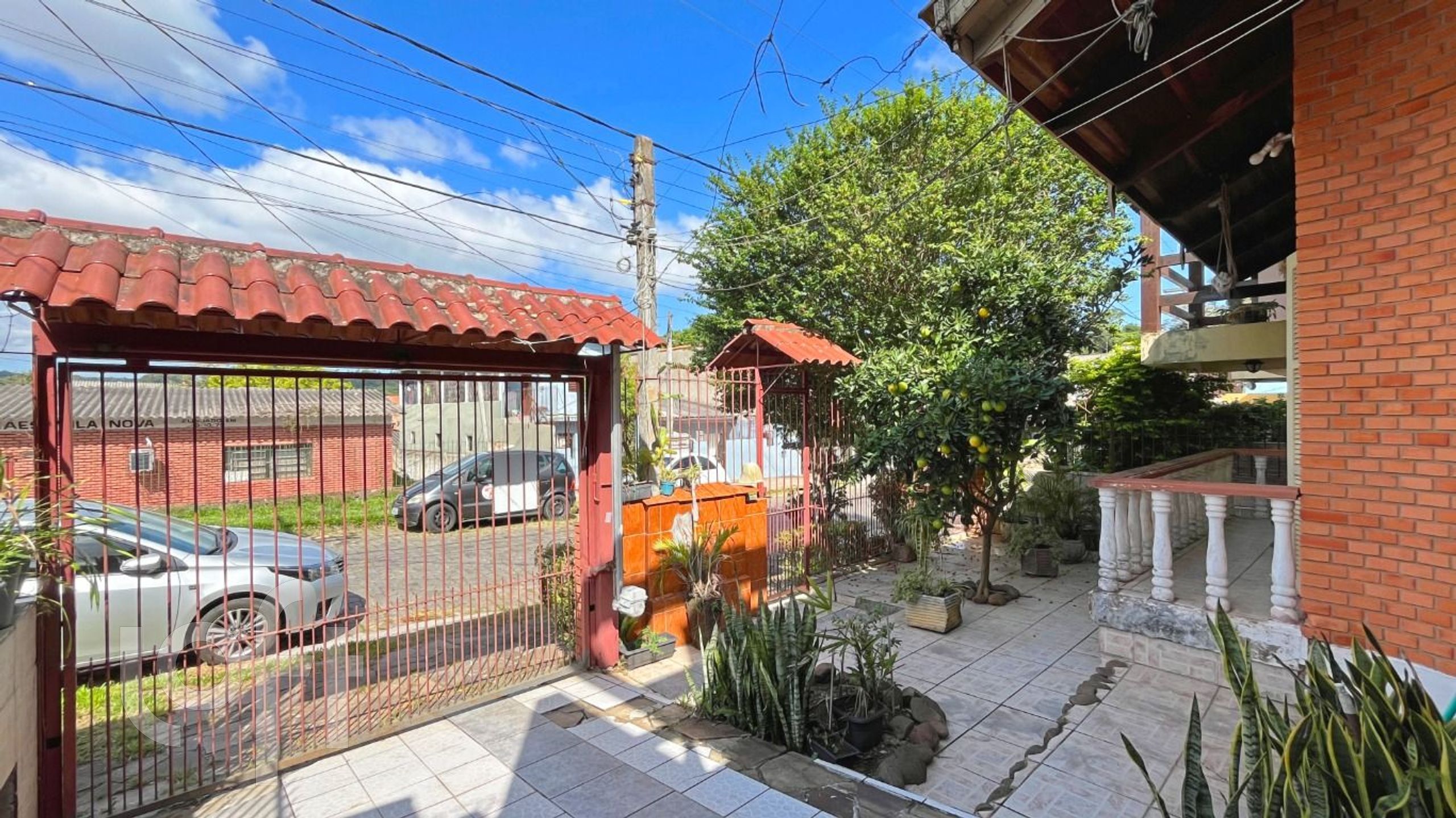 Imagem da propriedade 5