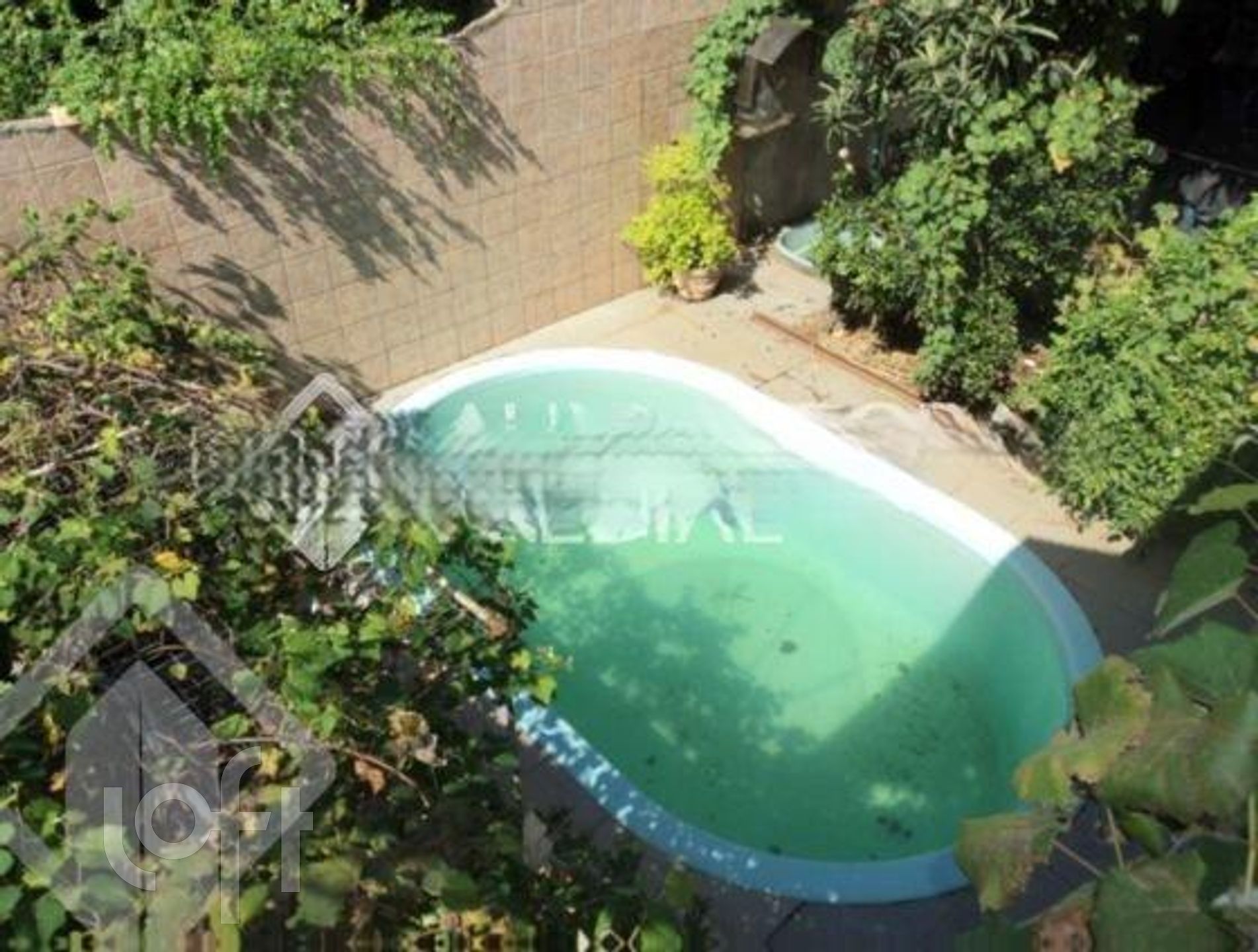 Imagem da propriedade 26