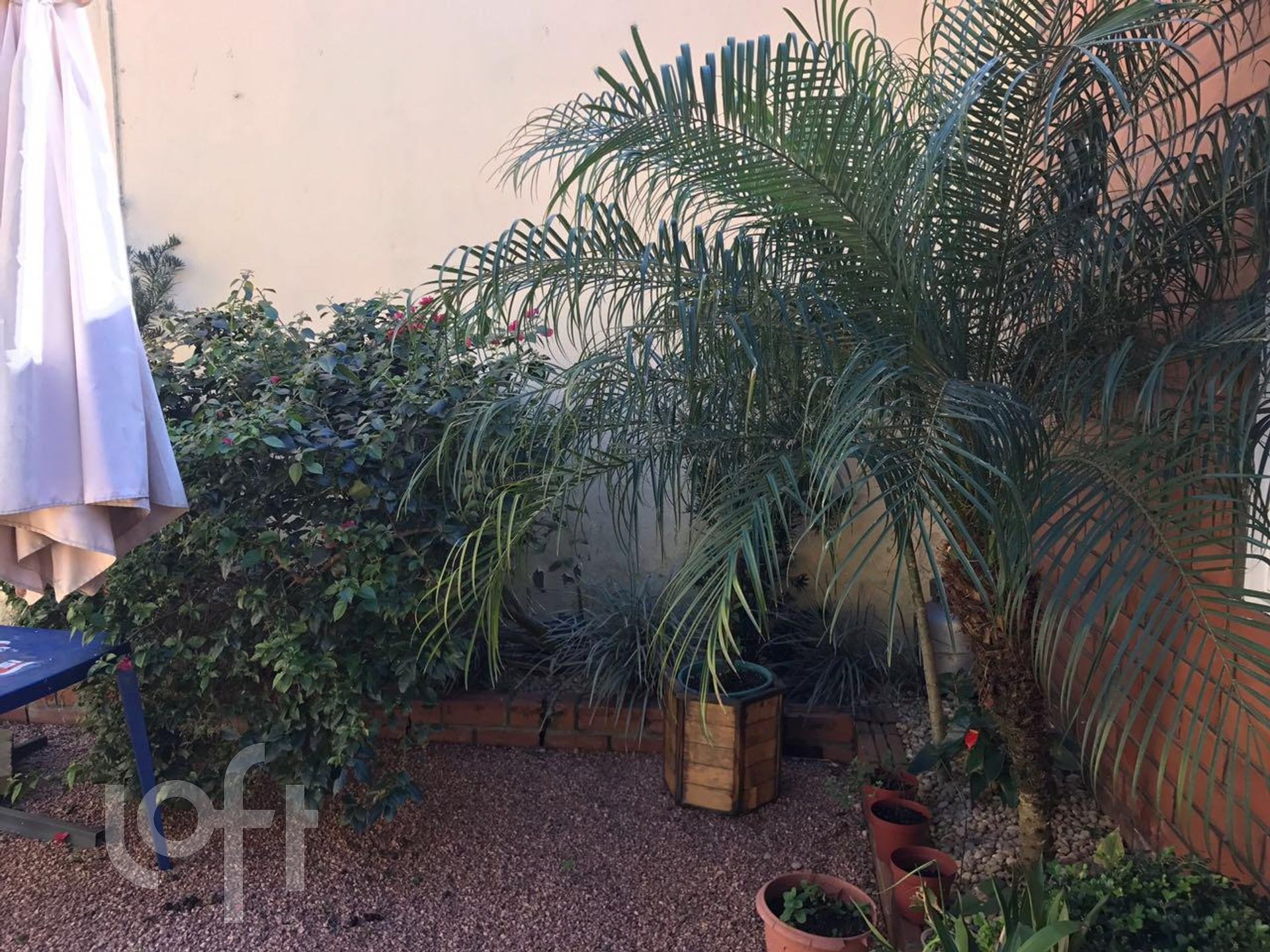 Imagem da propriedade 29