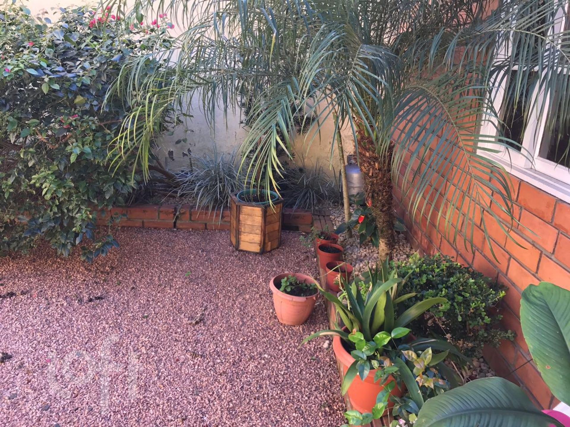 Imagem da propriedade 32