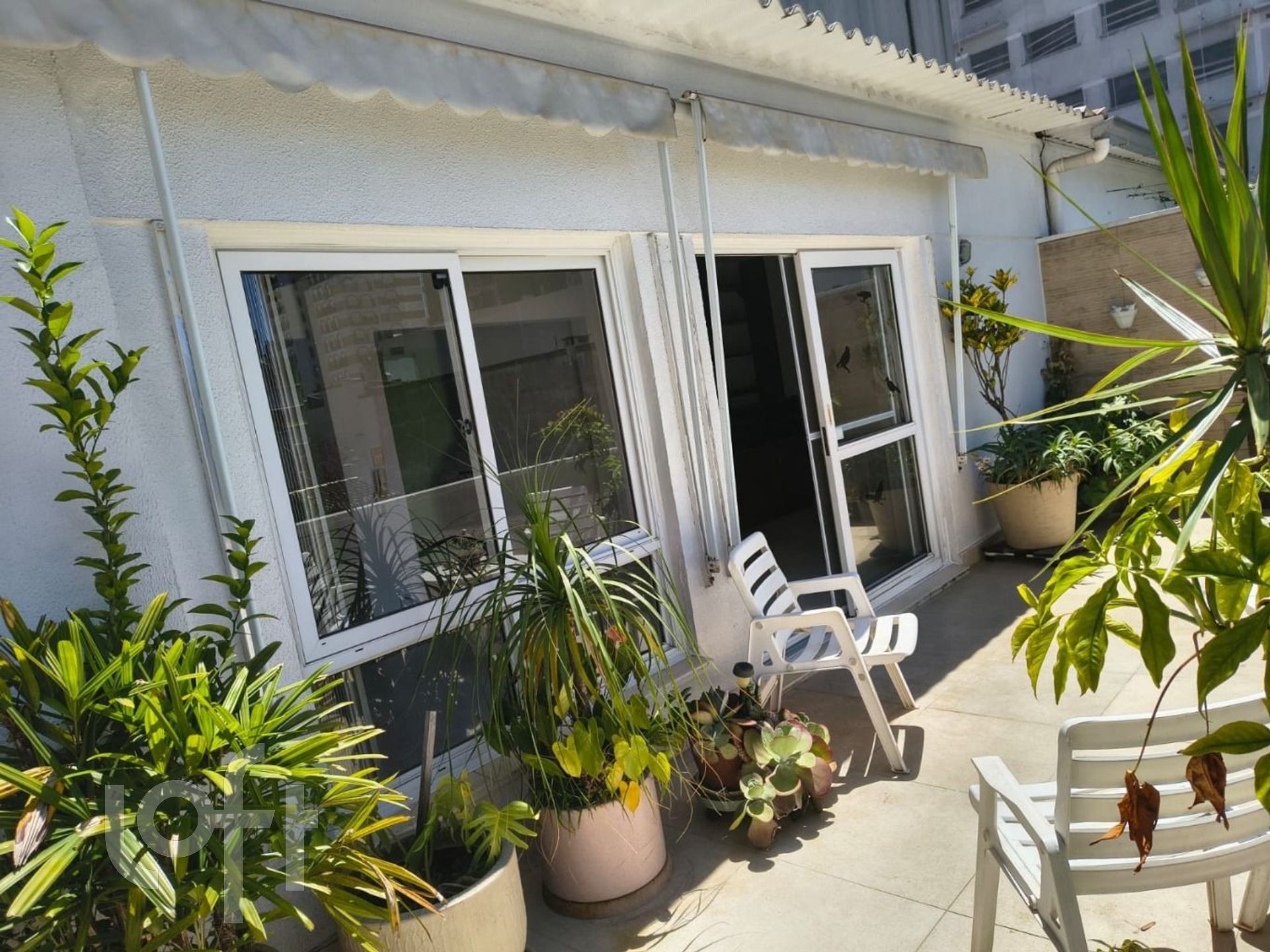 Imagem da propriedade 24