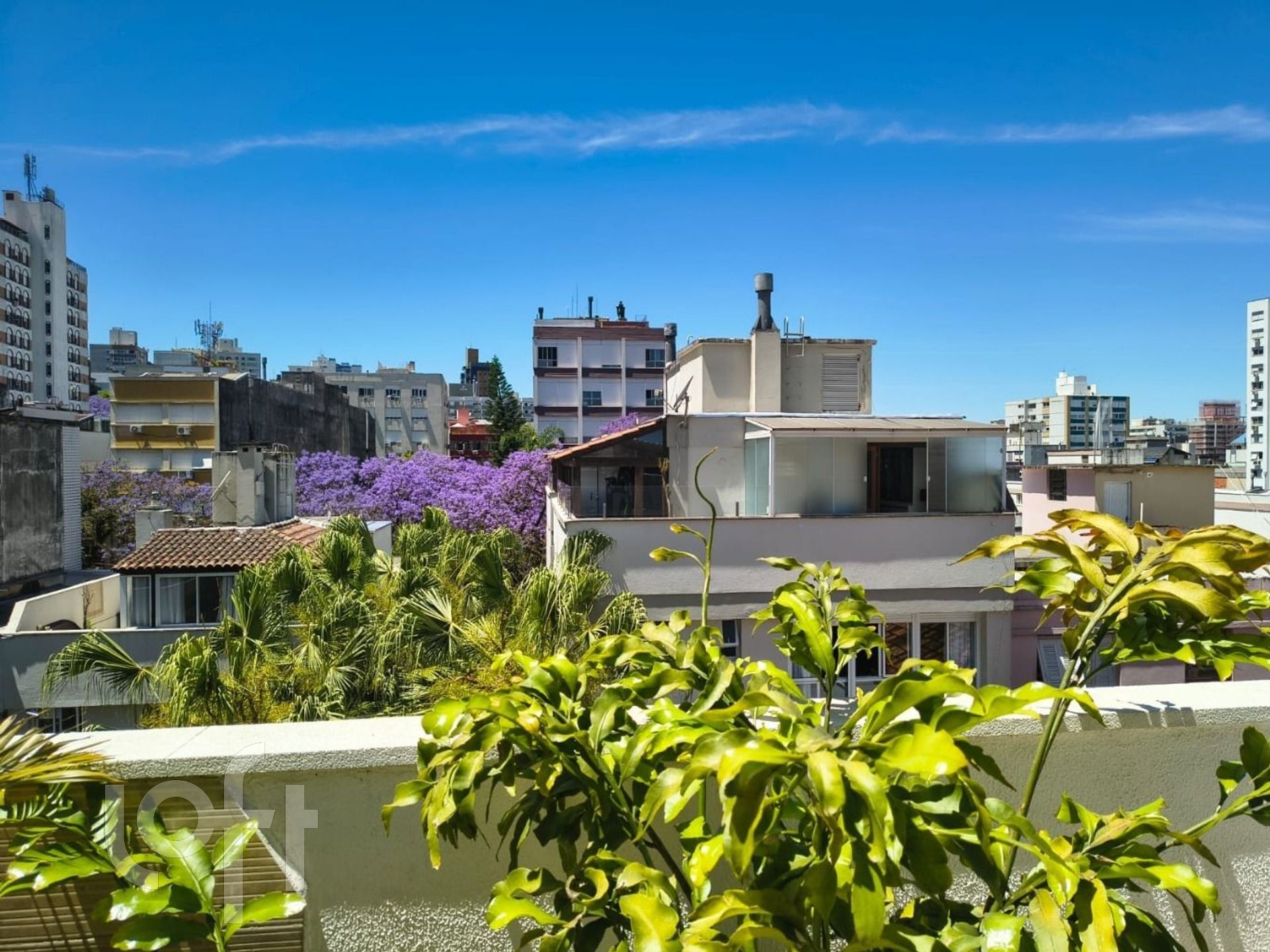 Imagem da propriedade 23