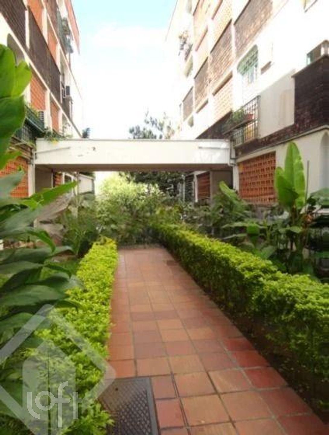 Imagem da propriedade 3