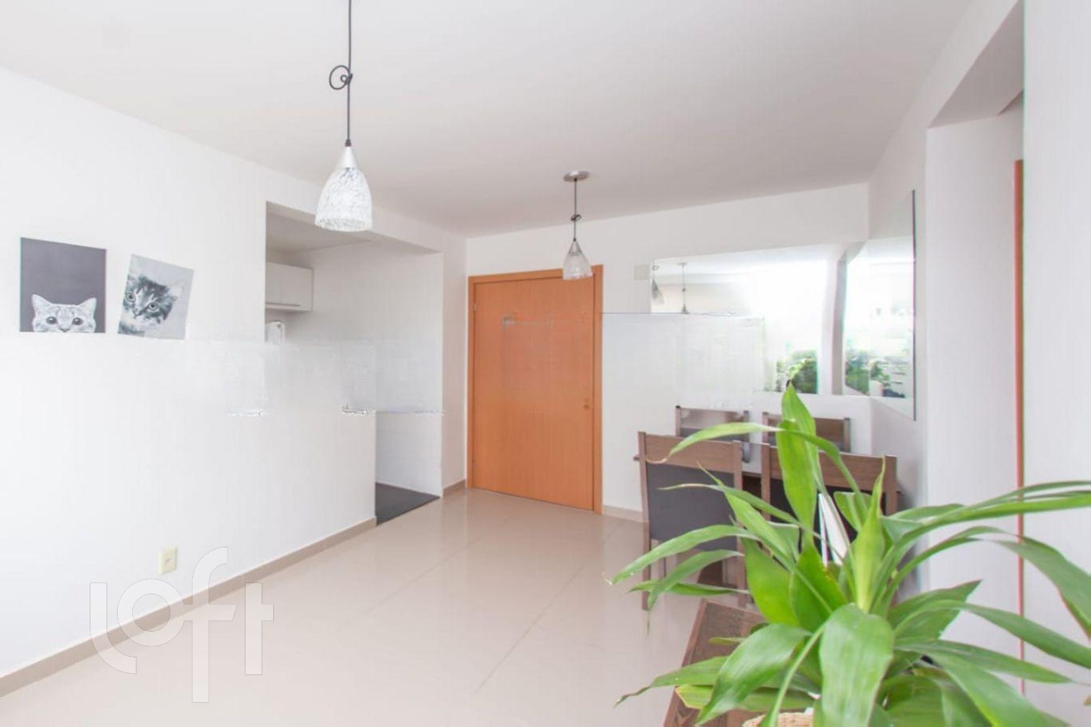 Imagem da propriedade 5