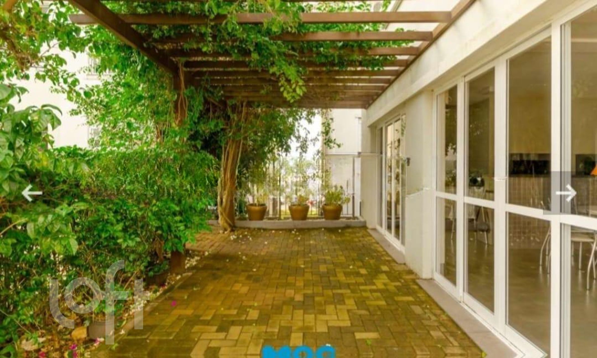 Imagem da propriedade 32